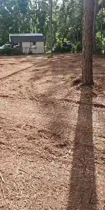 4 B's Land Service - This video is the video we sent to the company that she said he would come back and take care of here is the proof  it was never taken care - Tree Services Near Me - Starke, Florida