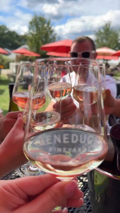 Beneduce Vineyards - Wineries Near Me - Pittstown, New Jersey