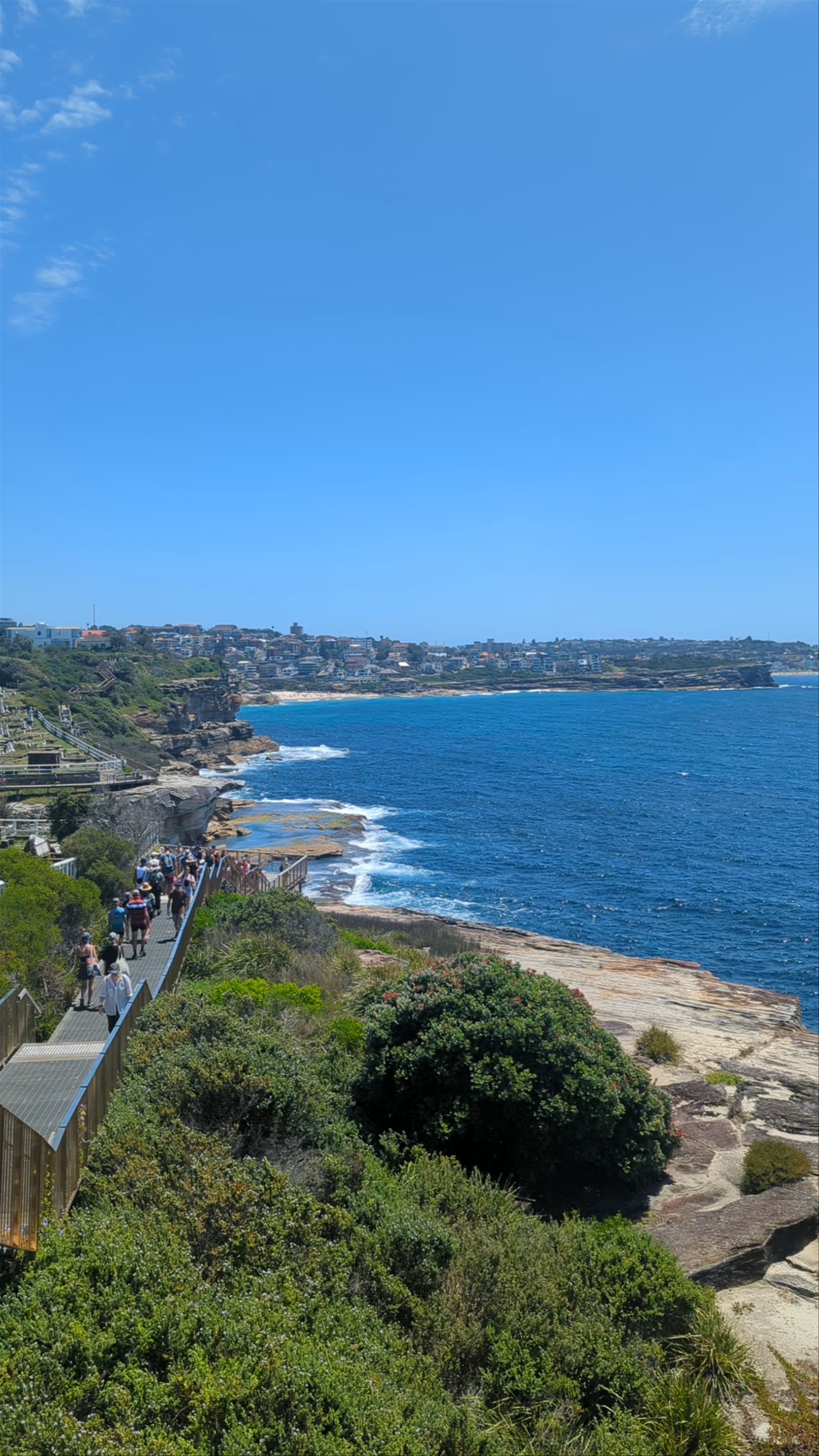Bondi to Coogee Walk