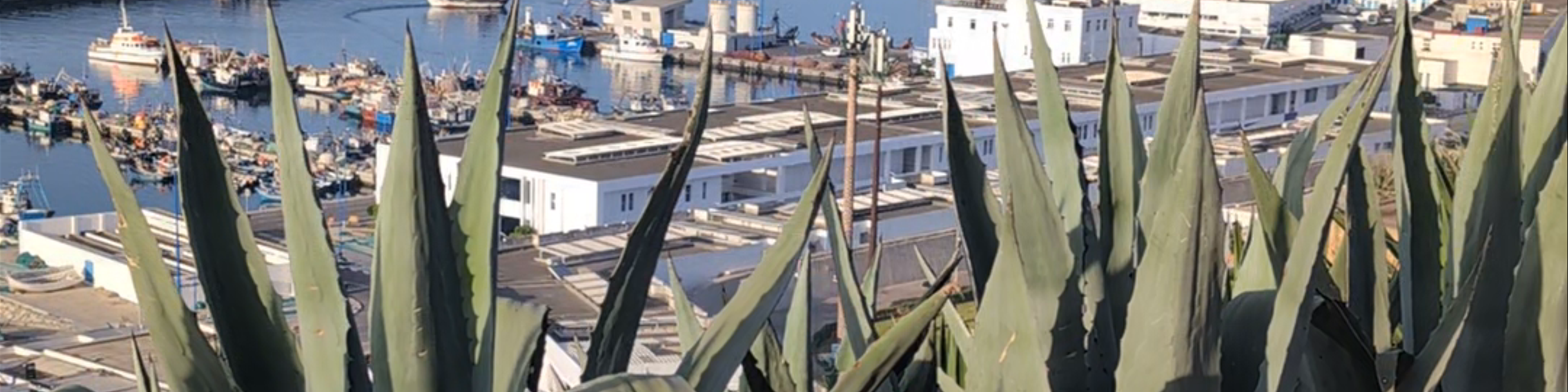 Tangier