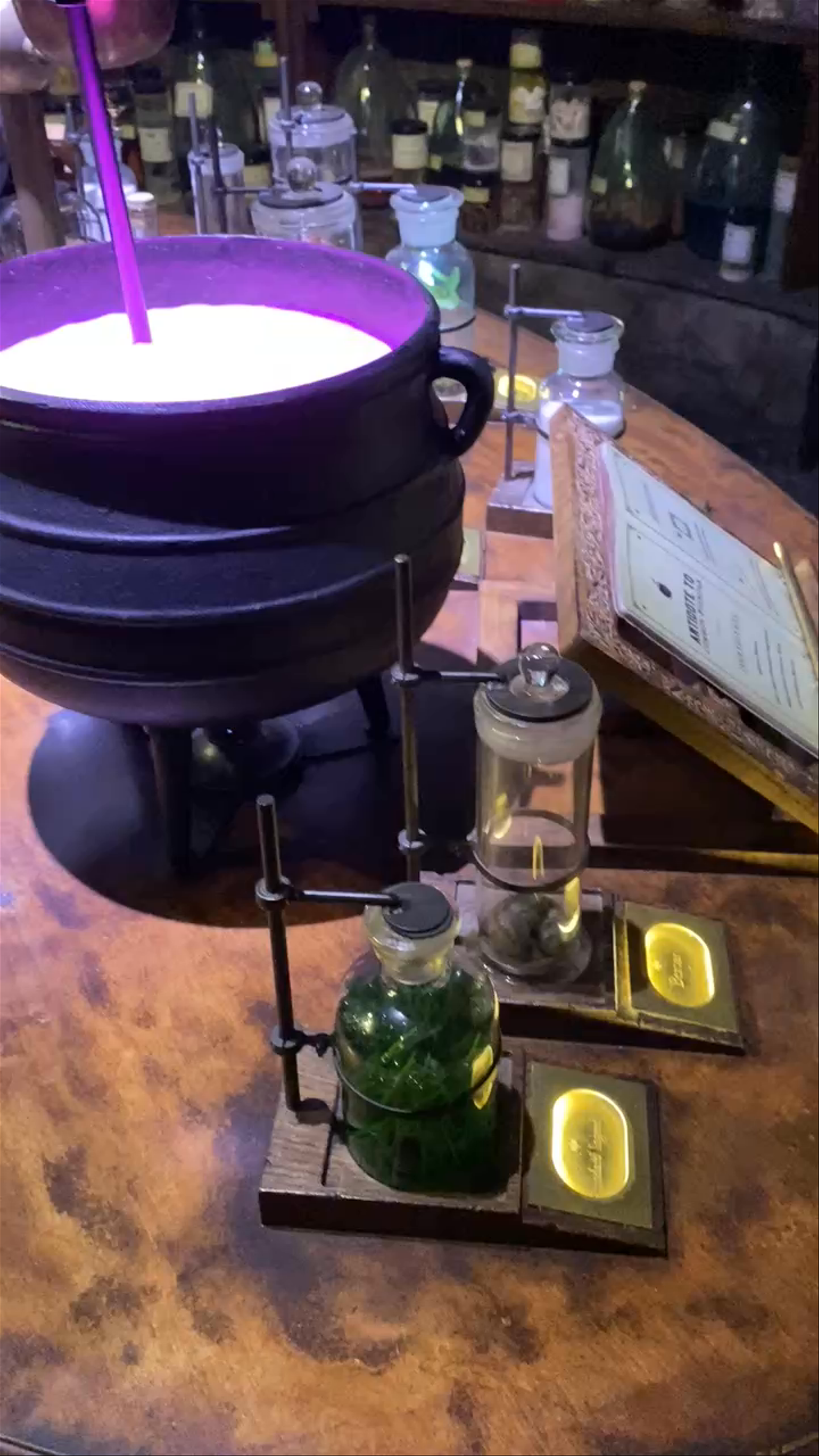 Magical Potion-Making Scene at The Wizarding World of Harry Potter