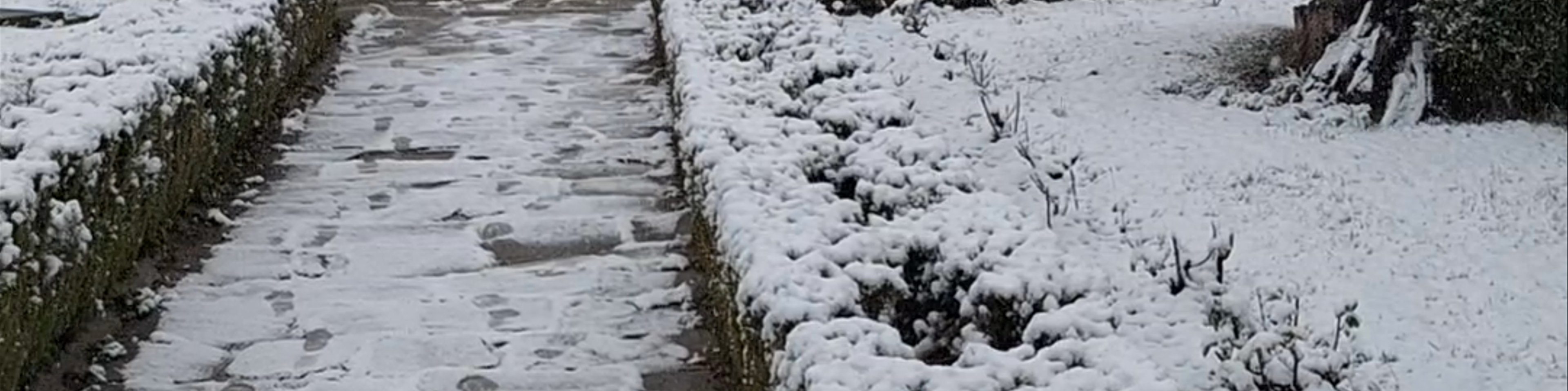 Gabrovo