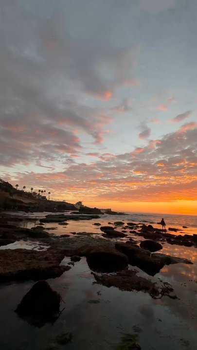 Shell Beach - Beaches Near Me - San Diego, California