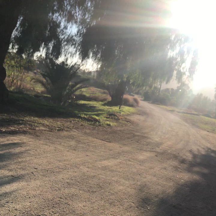 Vinos Bibayoff - Driving into the winery - Barbeque Near Me - Ensenada, BCN
