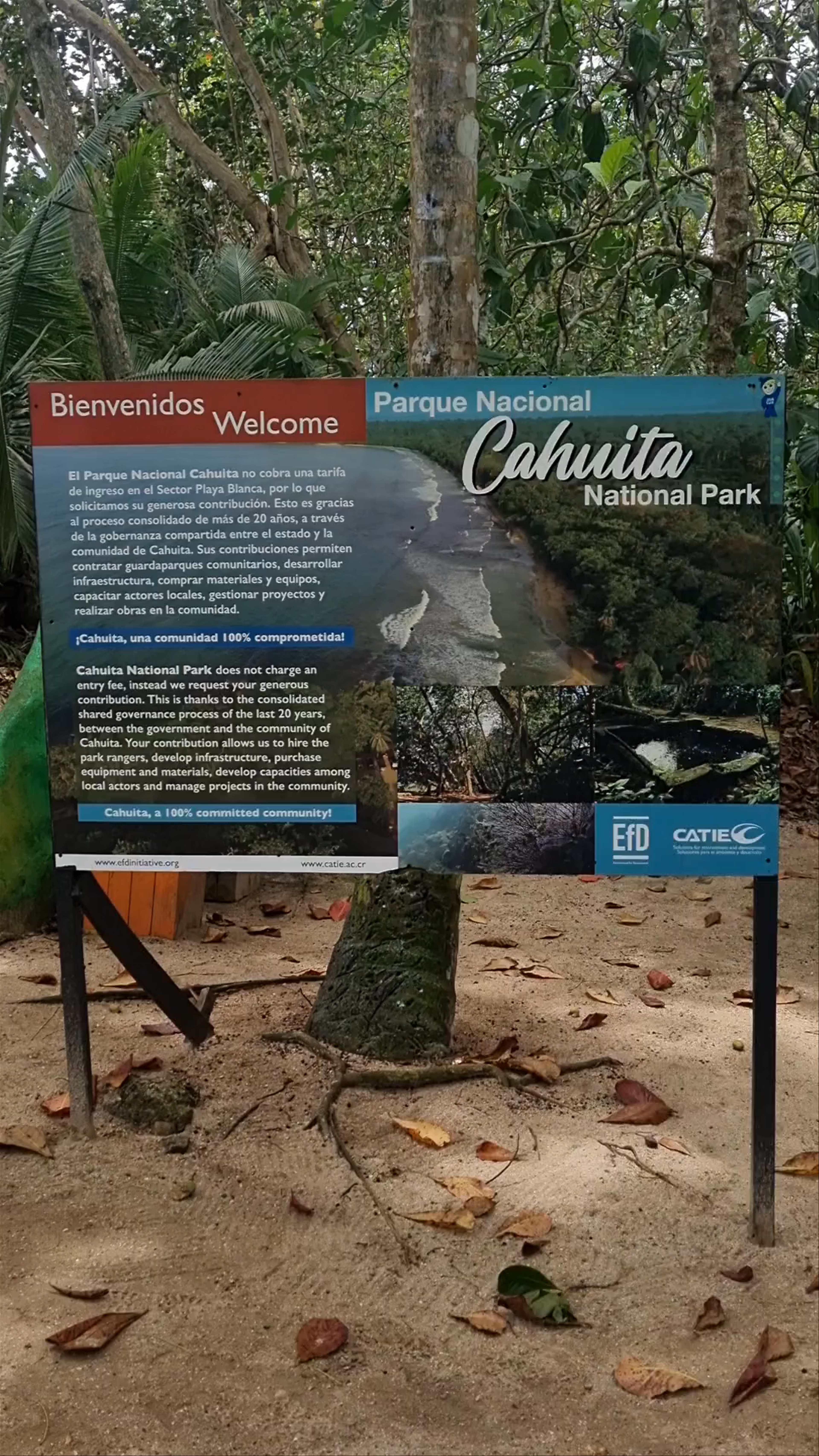 Cahuita National Park: Lush Rainforest and Coastal Escape in Costa Rica