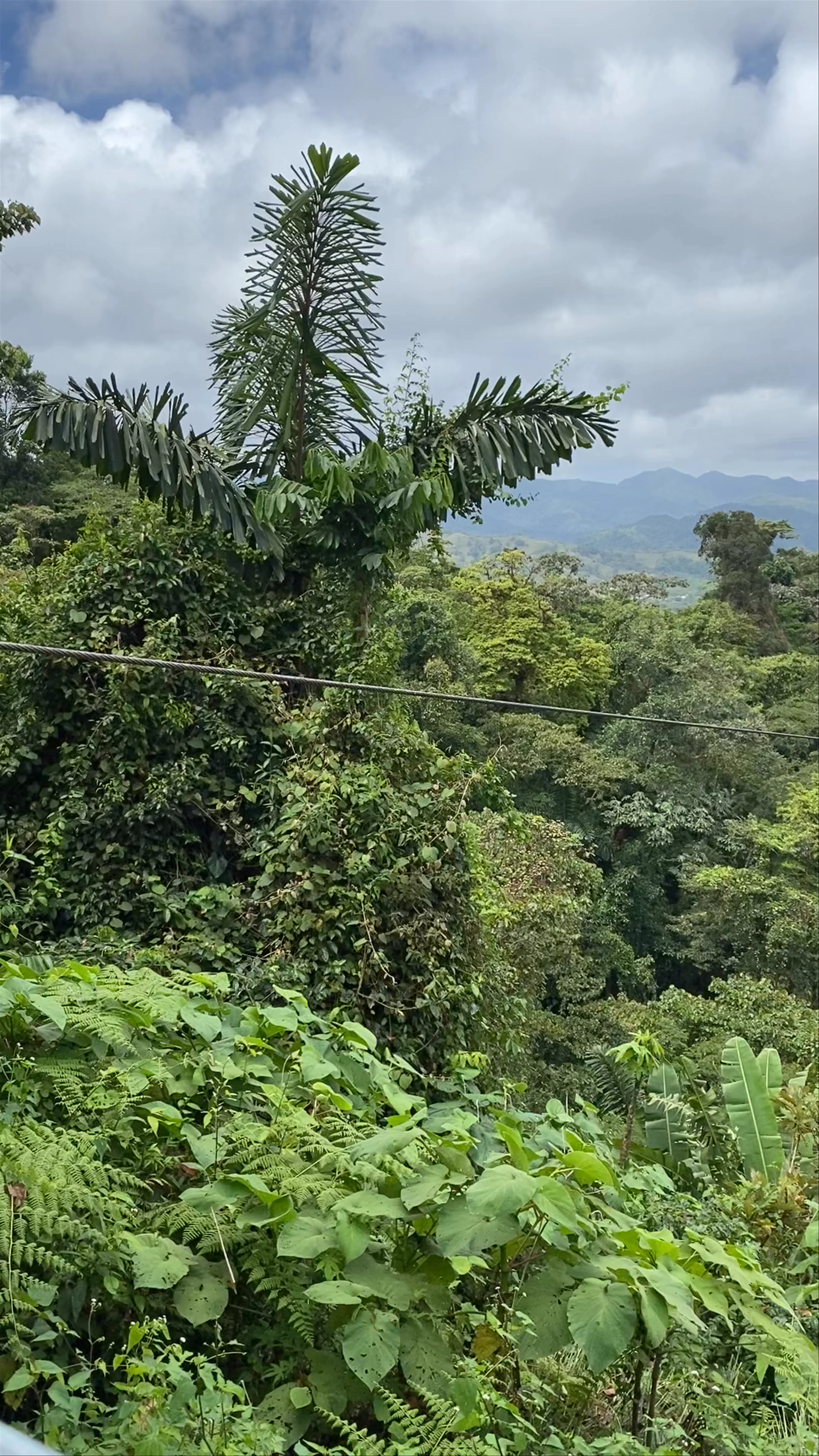 Sky Adventures Arenal Park