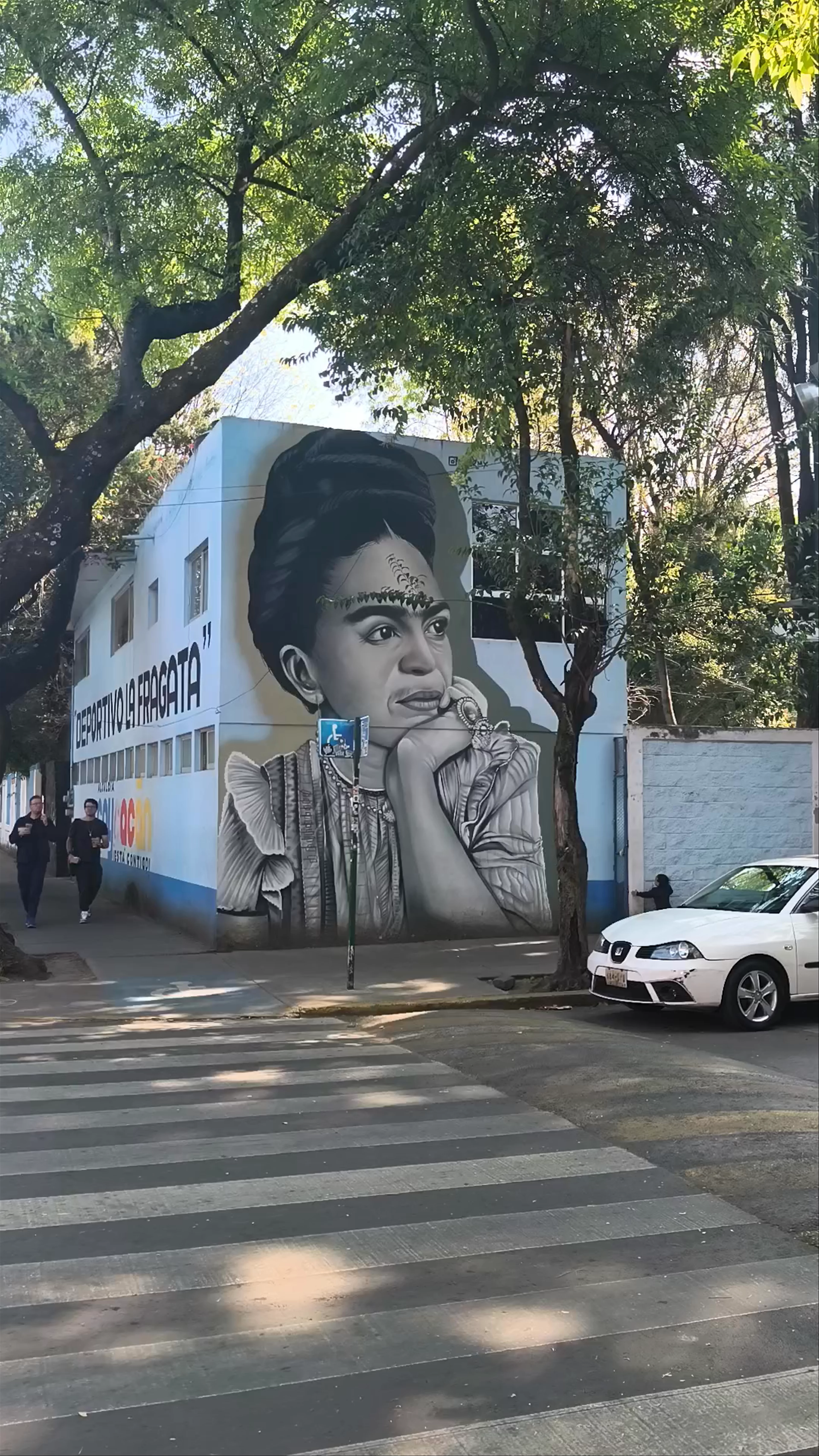 Frida Kahlo mural, Abasolo, Del Carmen, Mexico City