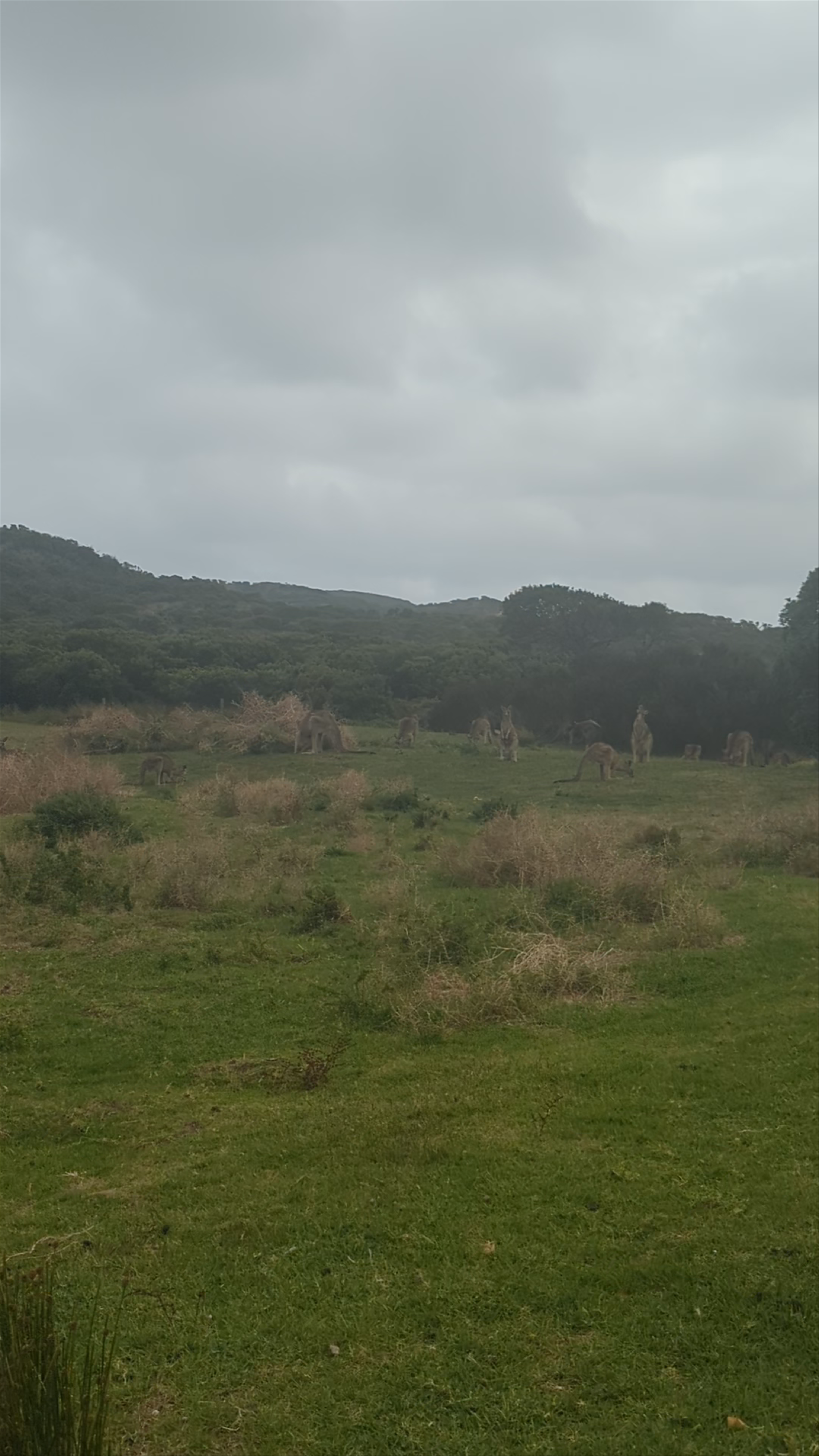 Princetown Recreation Reserve & Camping