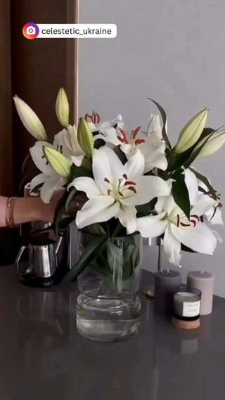 Radiance Mask - vidéo