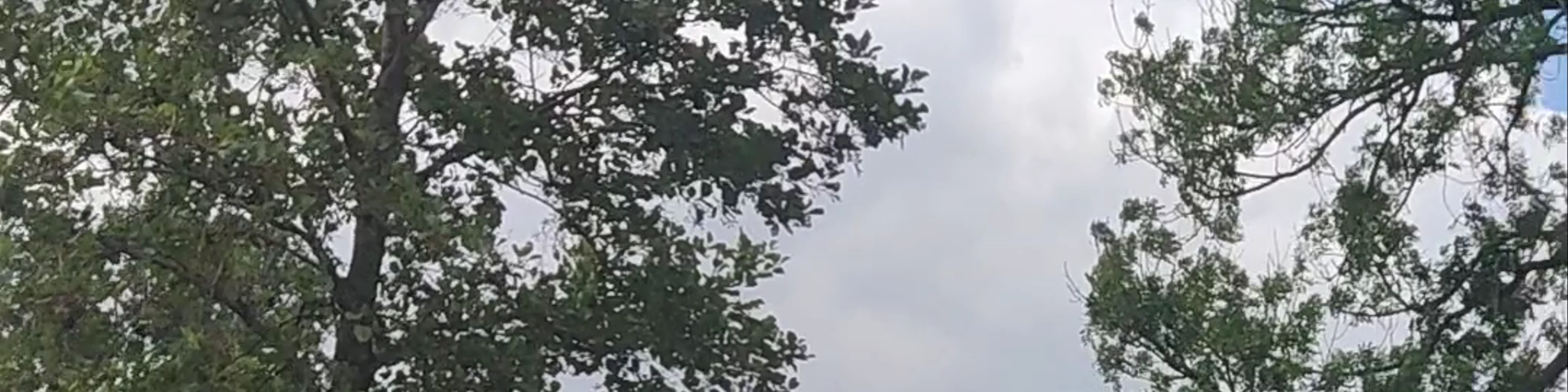 Molengat