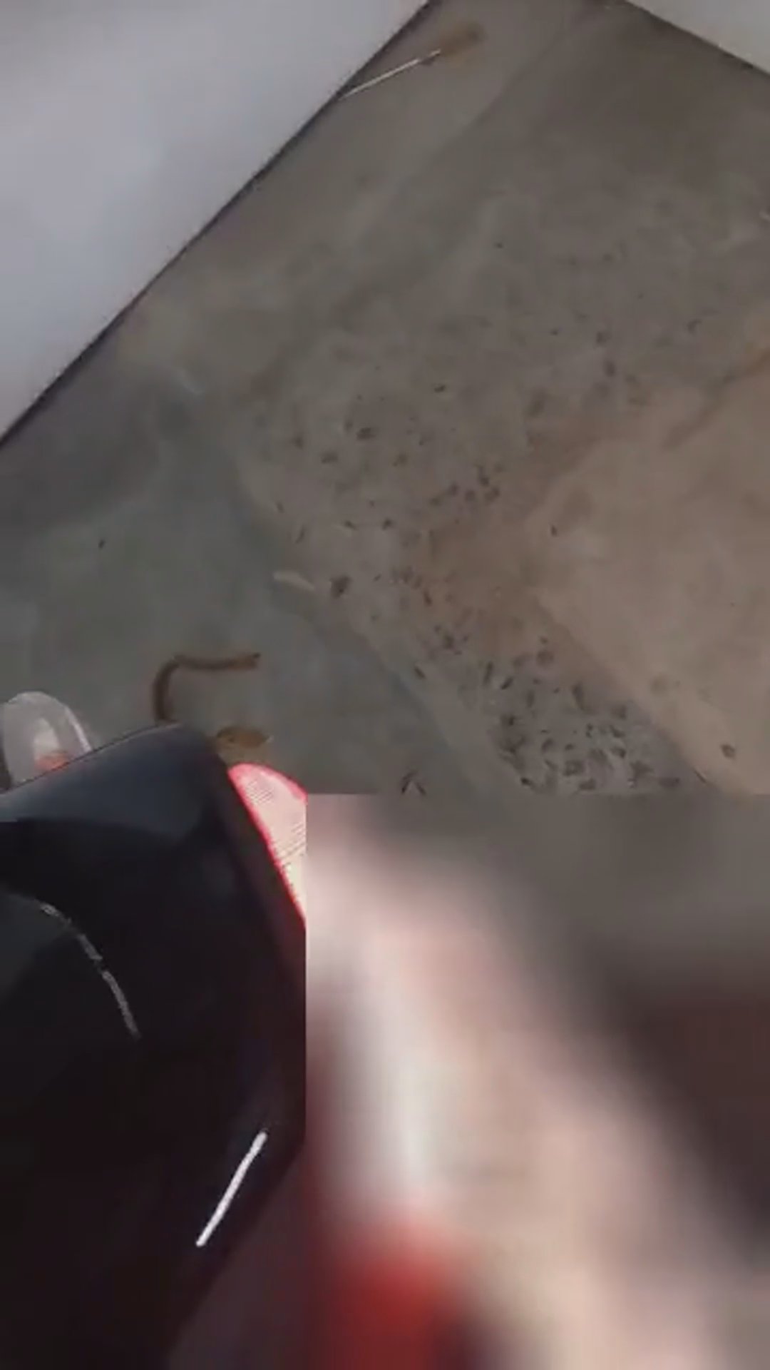 Walk-around video thumbnail