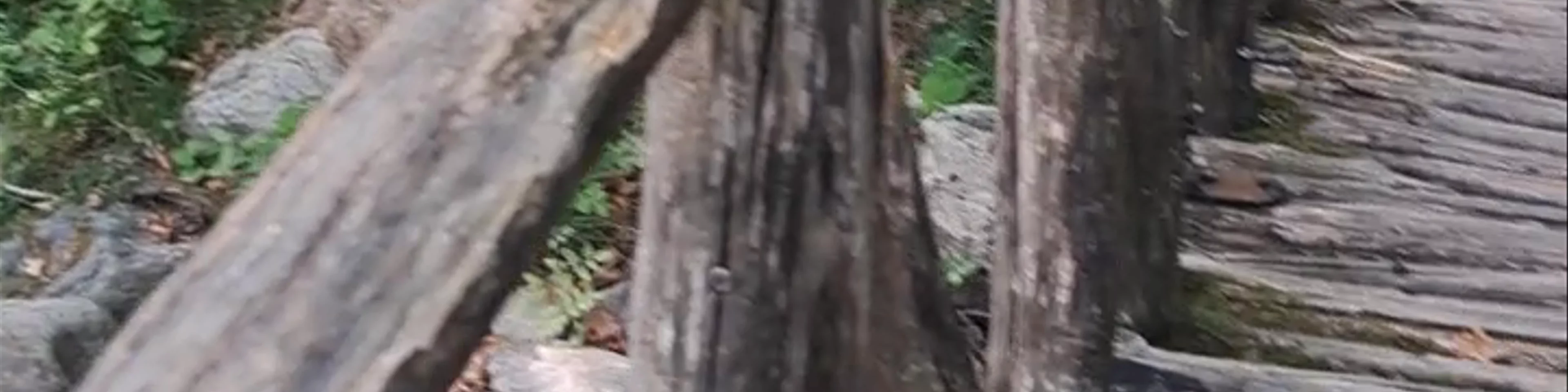  Mesoropi Gournes