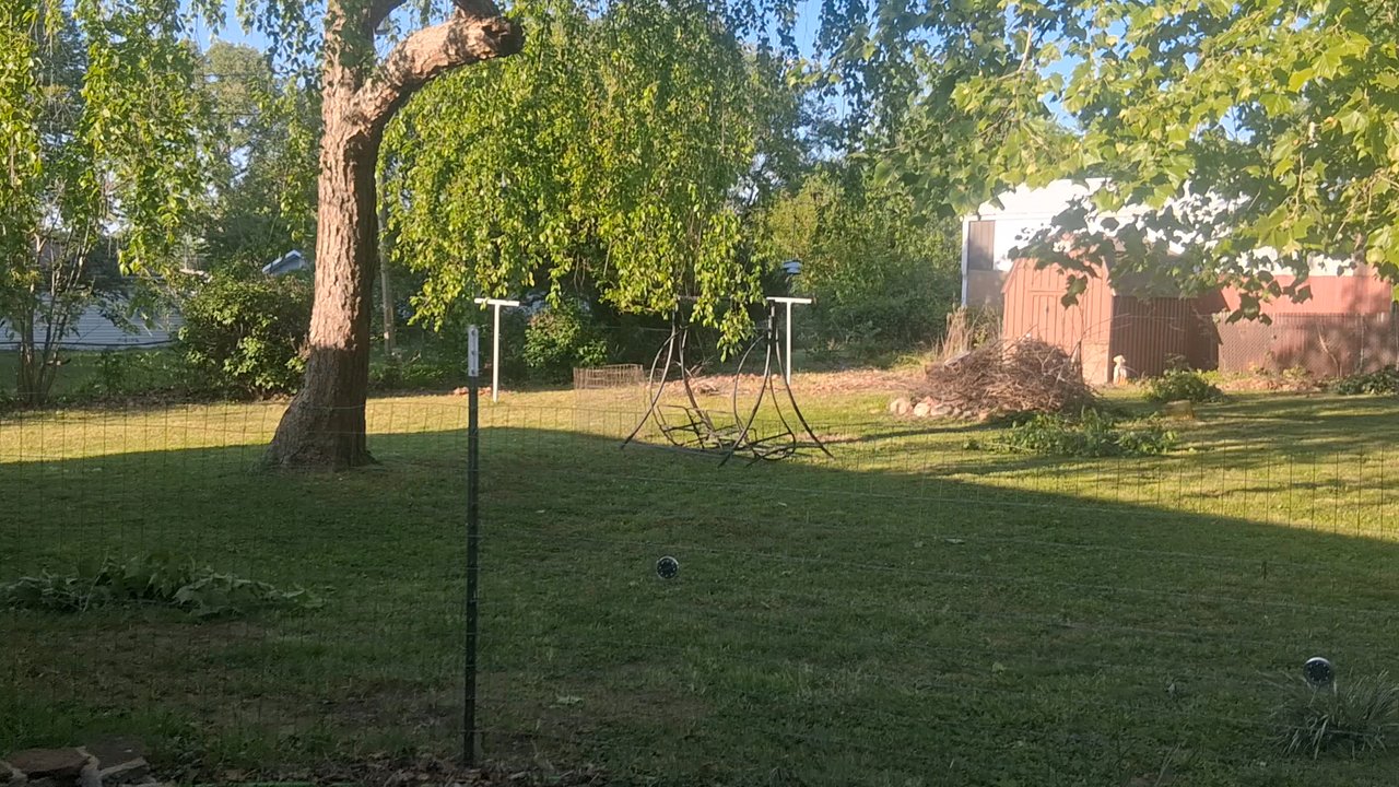 C & A Tree Service - Tree Services Near Me - Buffalo, Missouri