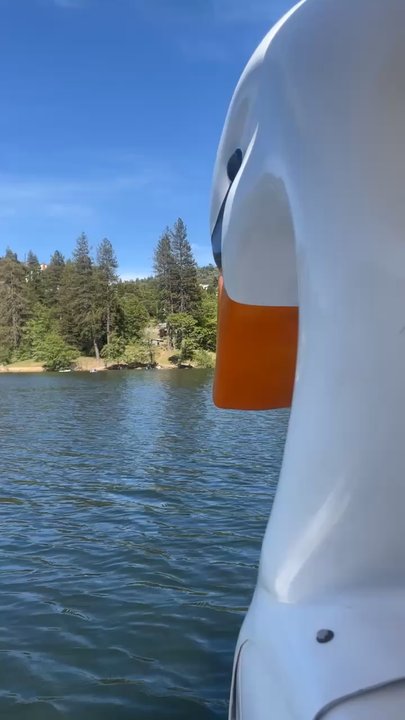 Lake Gregory Regional Park - Swan pedal boat experience - Hiking Near Me - Crestline, California