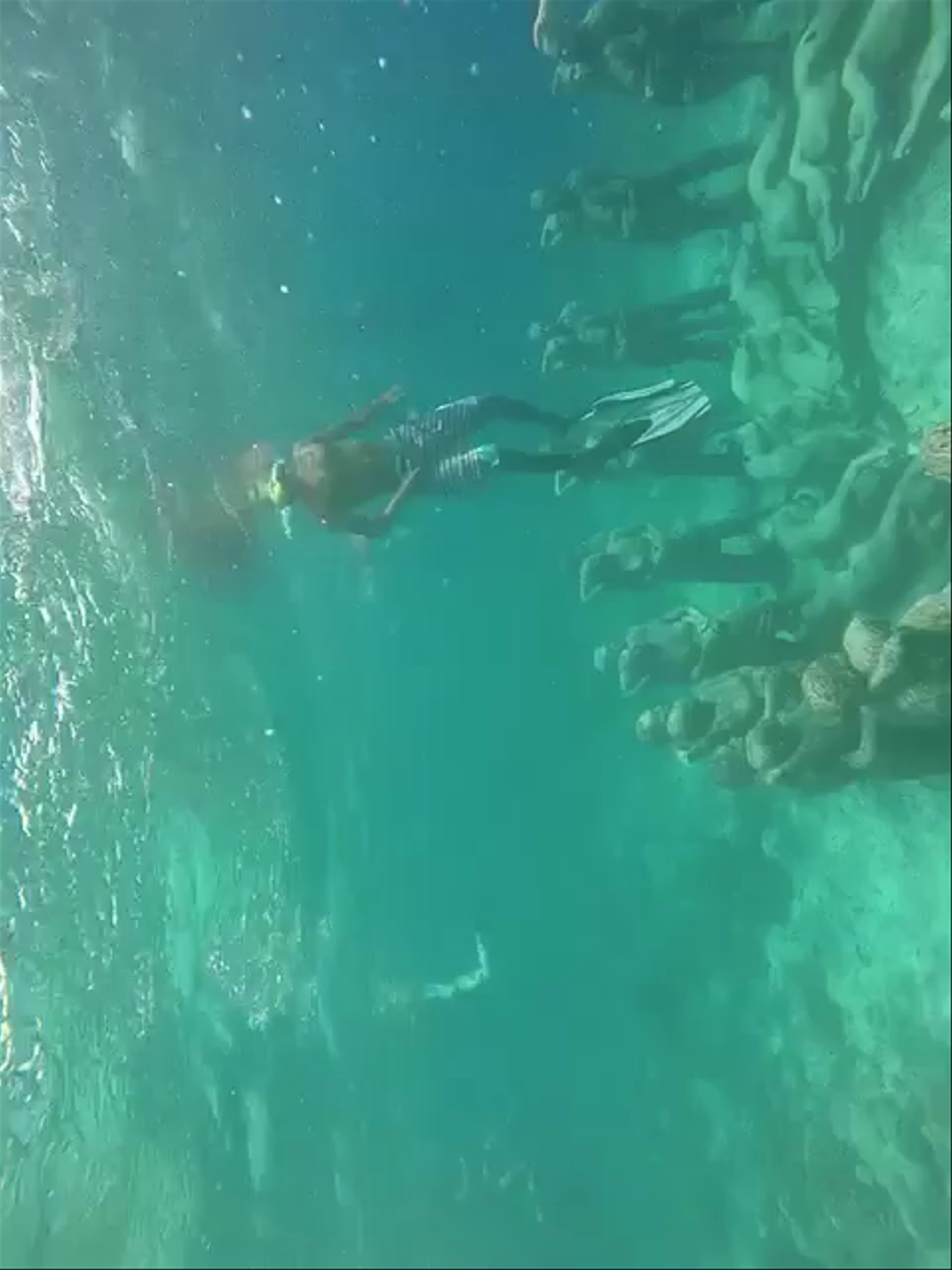 Bounty Wreck, Diving Spot