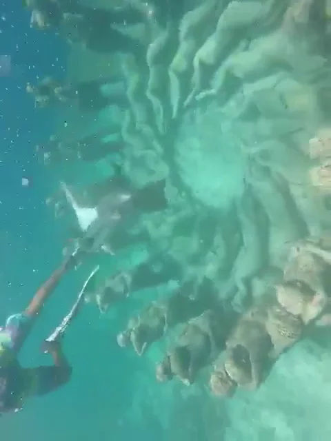 Bounty Wreck, Diving Spot