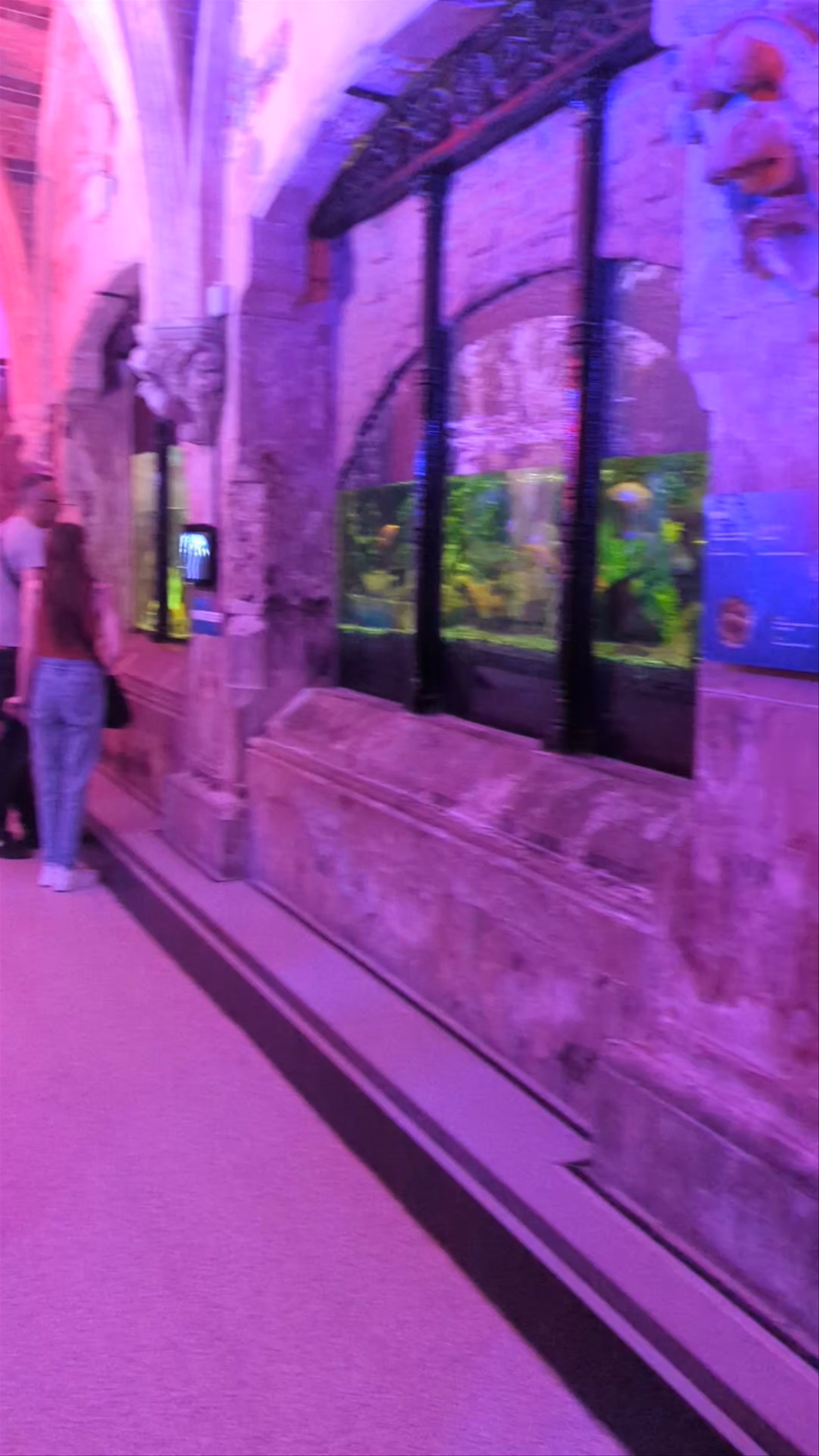 Inside SEA LIFE Brighton: A Magical Marine Adventure