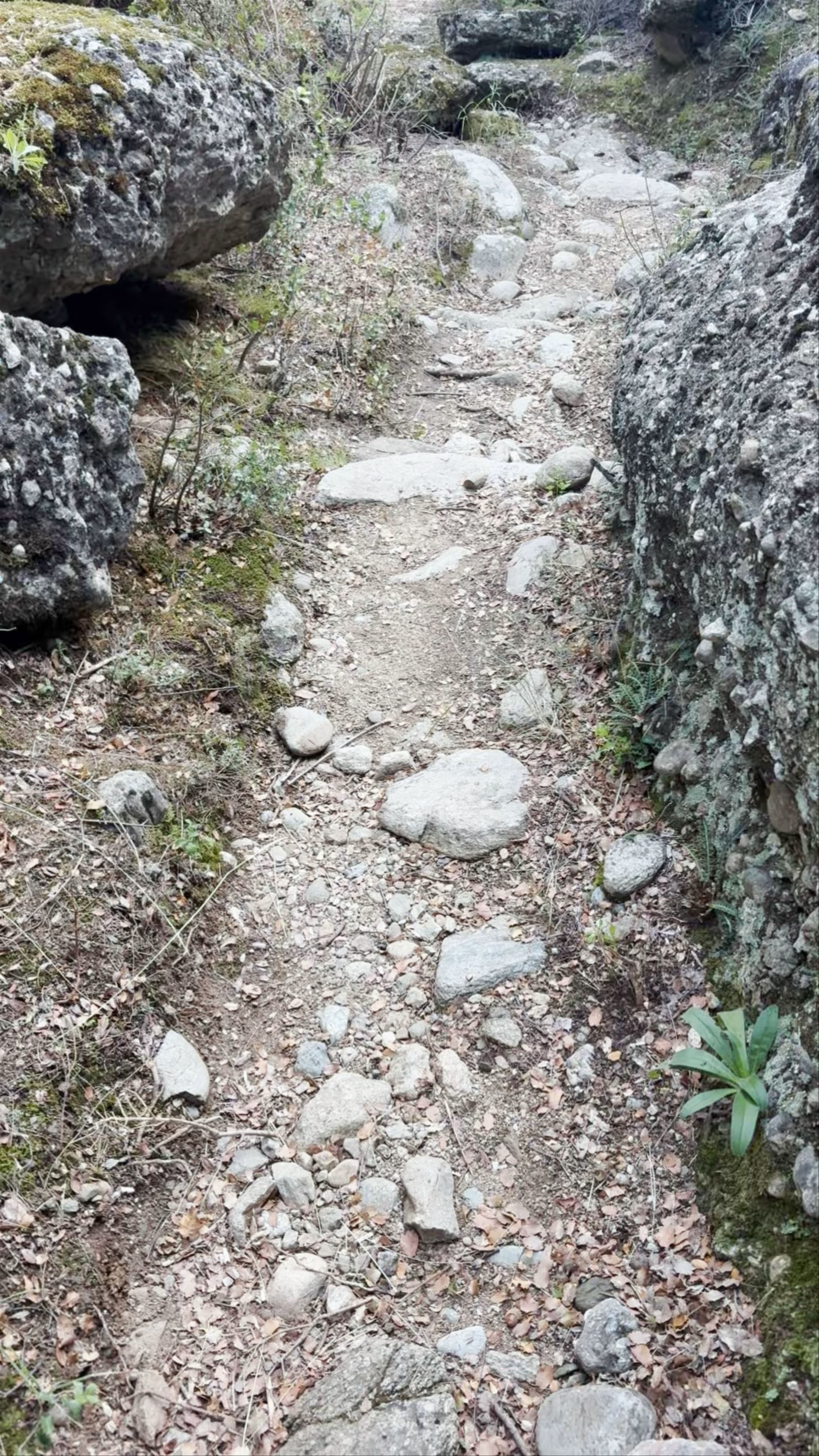 Ascent trail to Holy Trinity Monastery