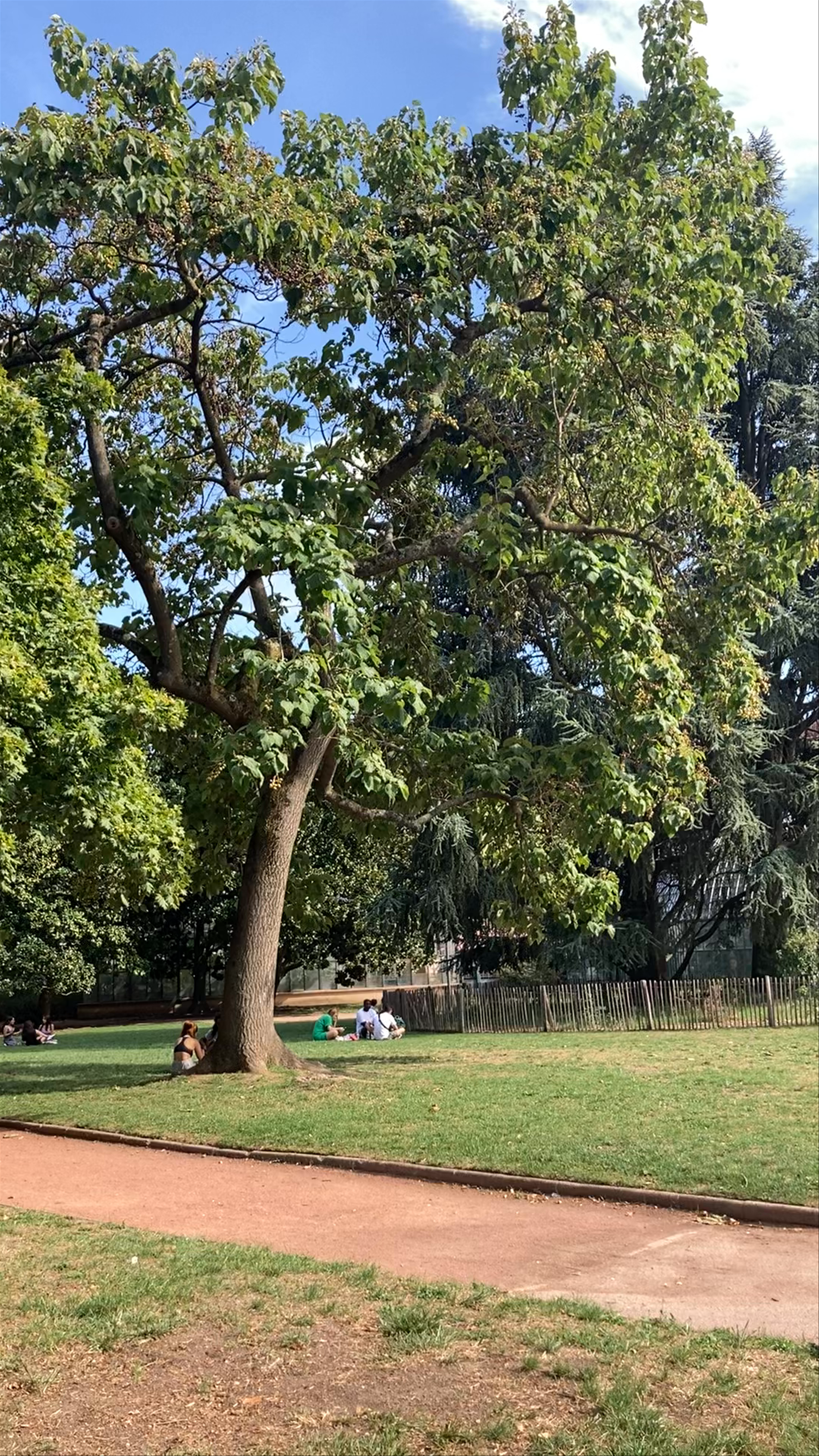 Parc de la Tête d'Or