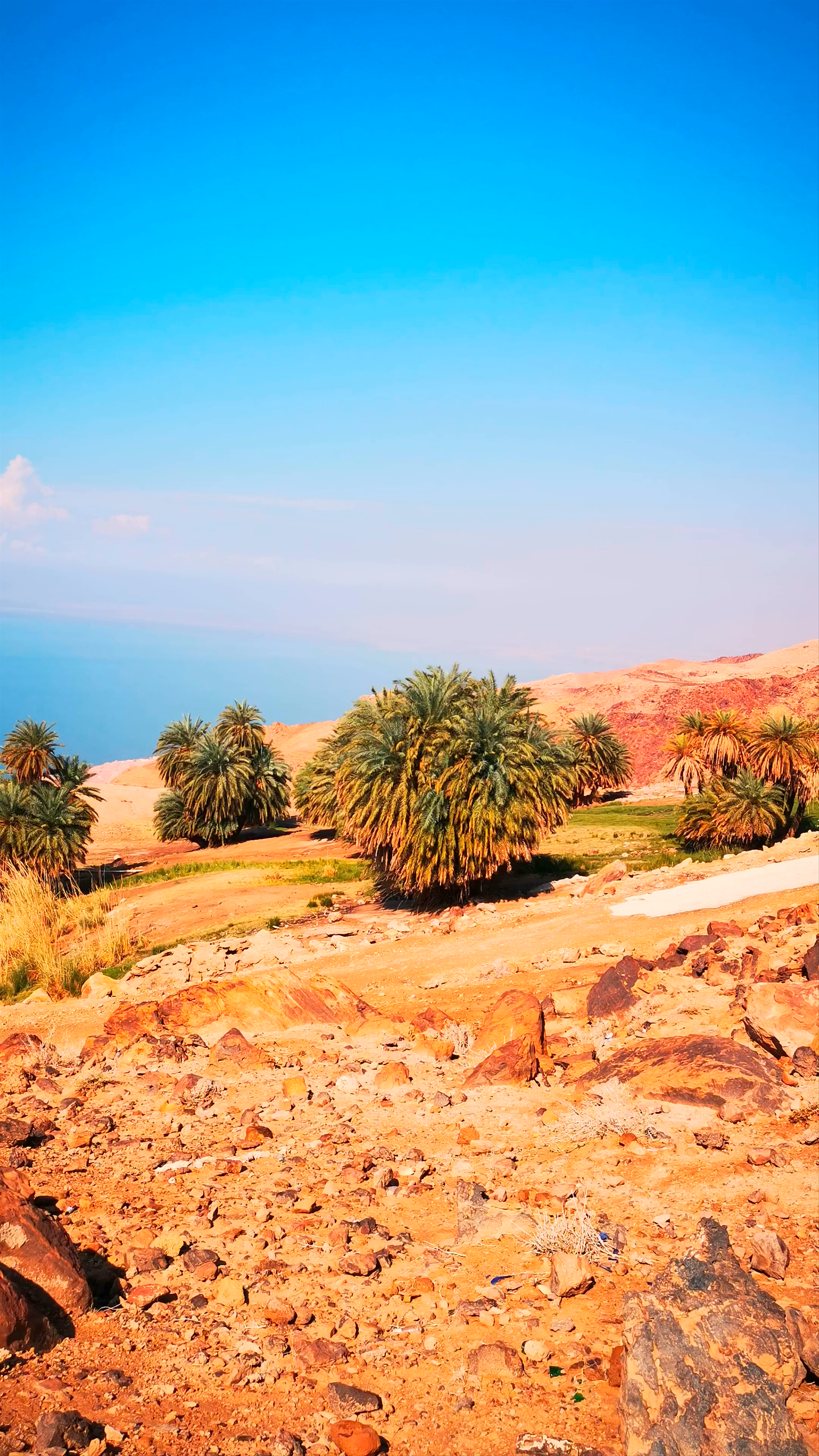 Dead Sea