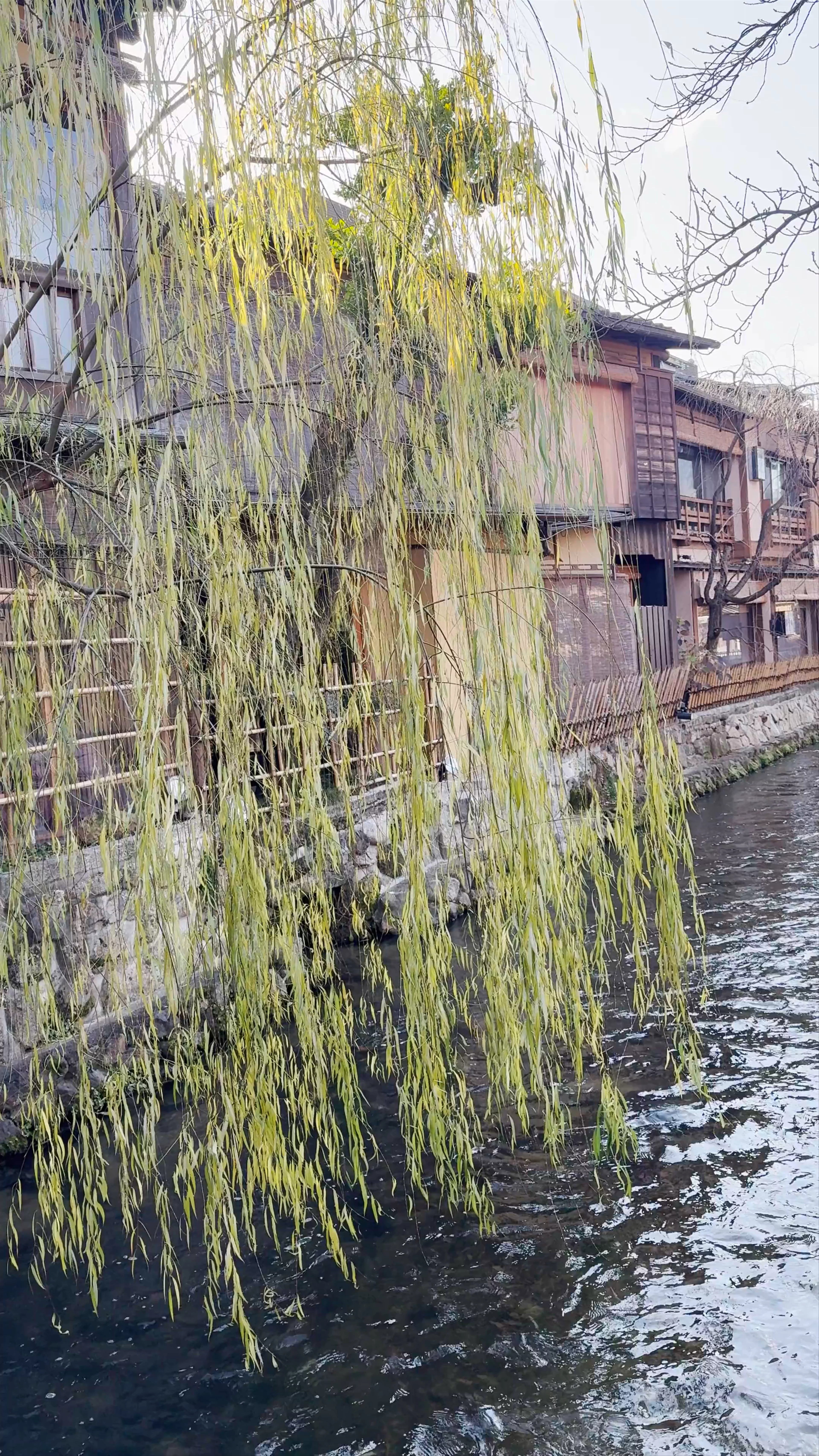 Shirakawa Canal