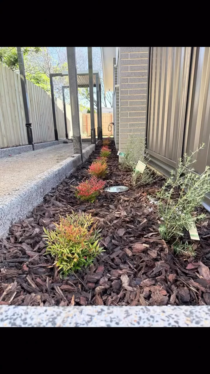 Nimmo St: blade fencing, landscaping and automated gates
