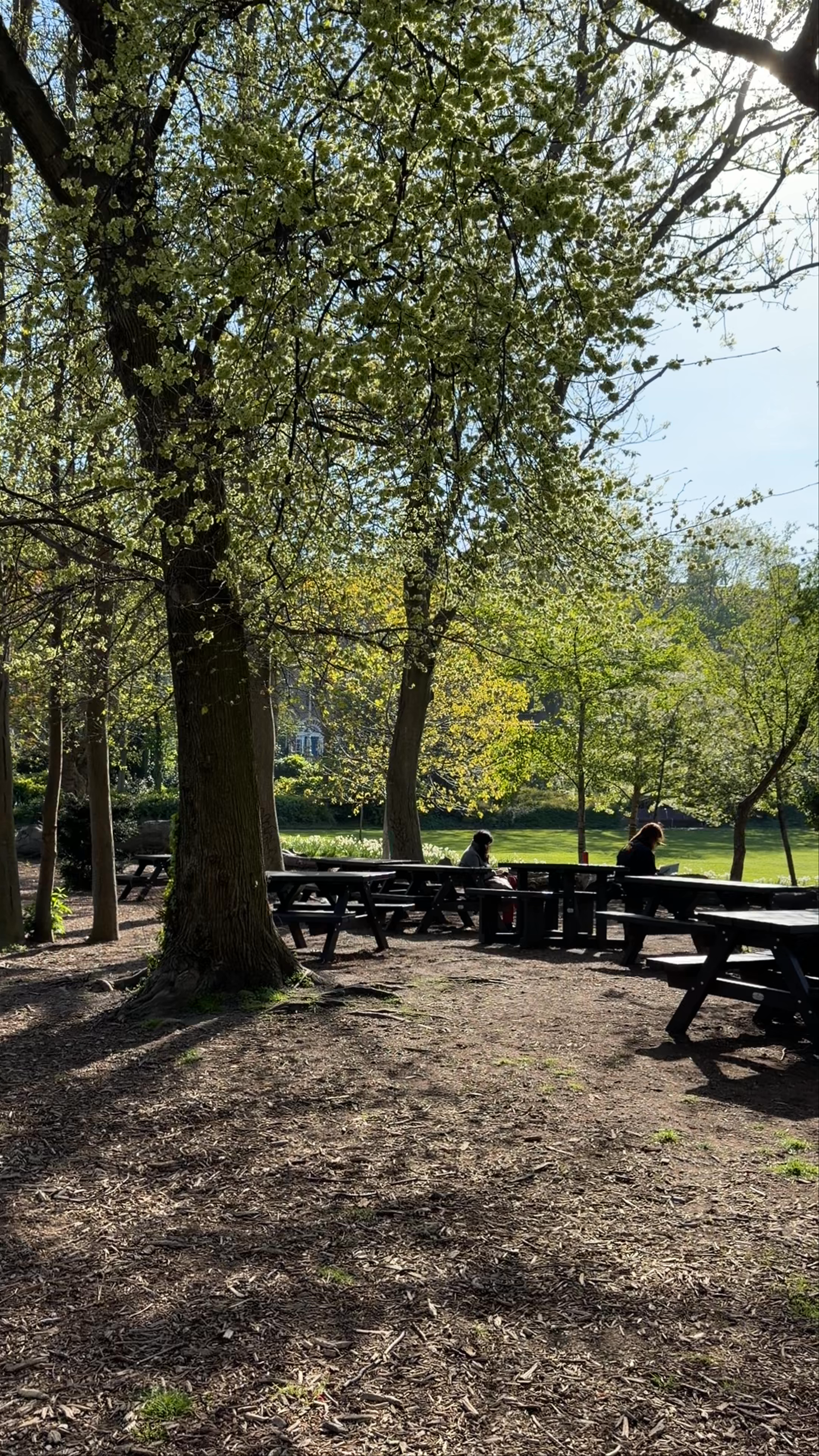 Merrion Square