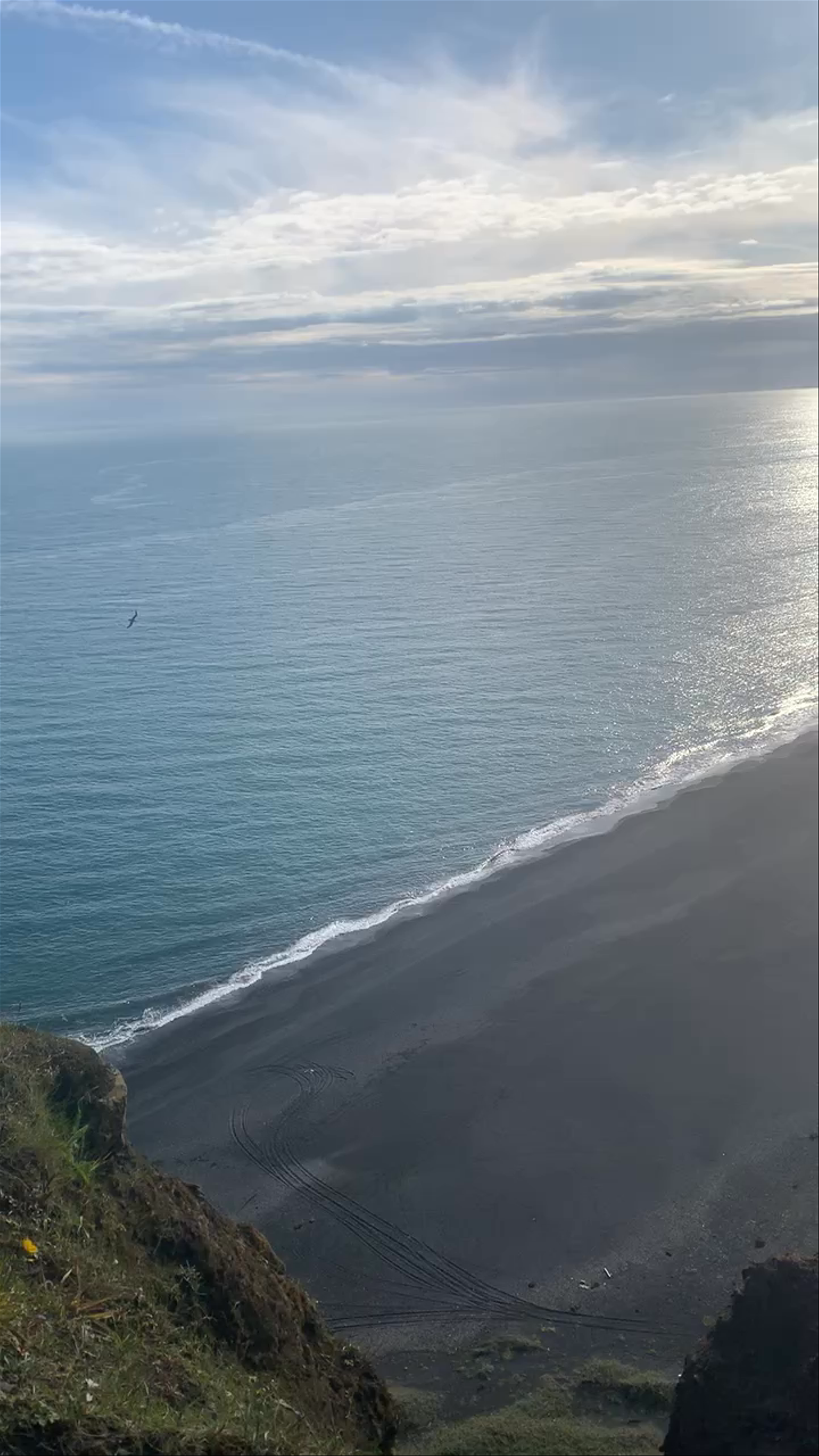 Dyrhólaey: Majestic Coastal Cliffs and Black Sand Beaches in Vík, Iceland