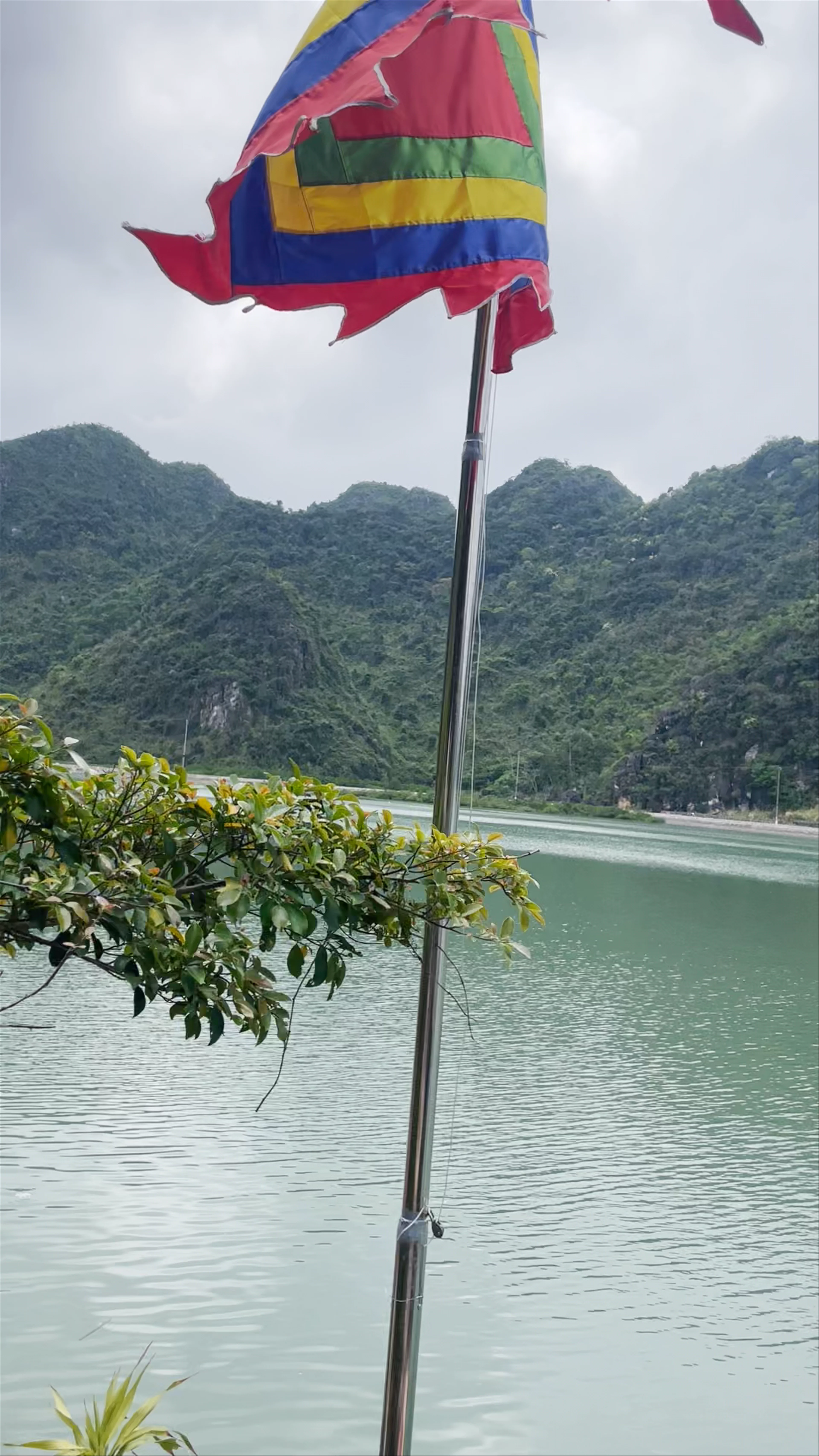 Hạ Long