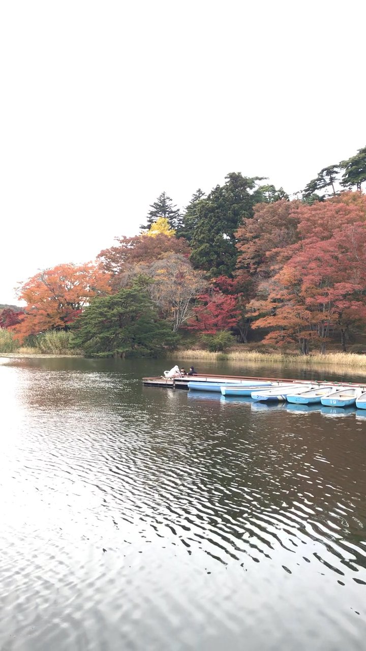 週末はここへ
🎥 Nep Gaijin · Pexels
#日本 #旅行 #絶景 #風景 #japan