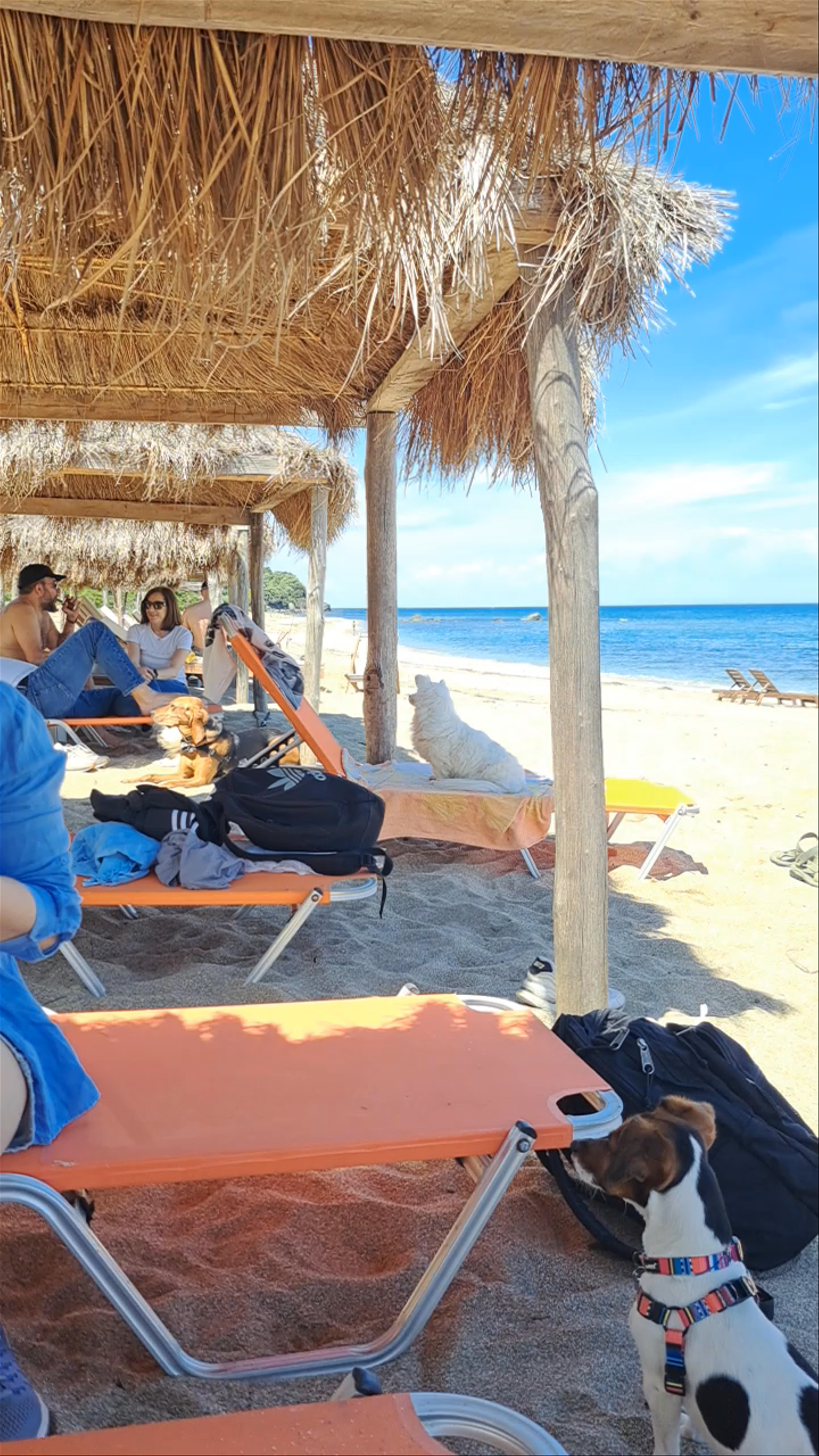 Relaxing Beach Day at Agiokampos, Larisa, Greece