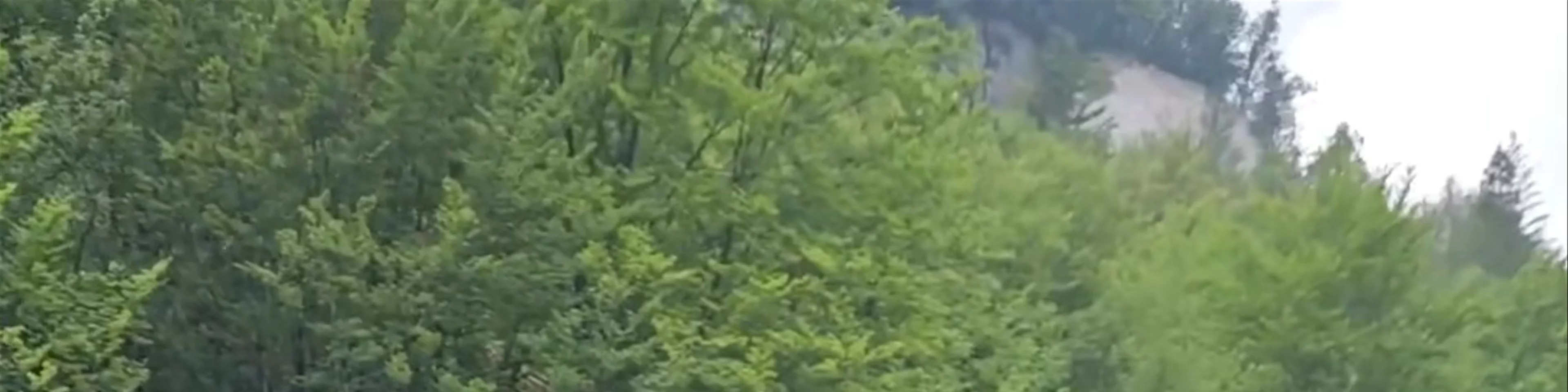 Velika korita Soče