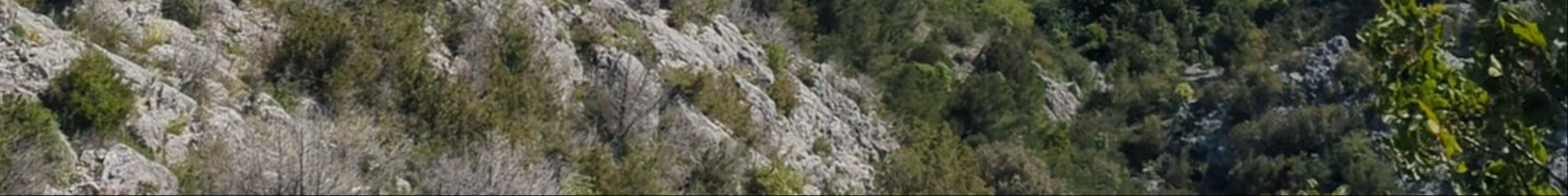 Tours & experiences in Šibensko-Kninska