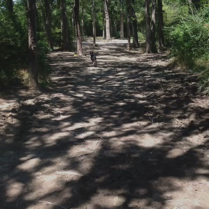 Zboaz Disc Golf Course - She hasn't quite figured it out yet (: - Disc Golf Near Me - Benbrook, Texas