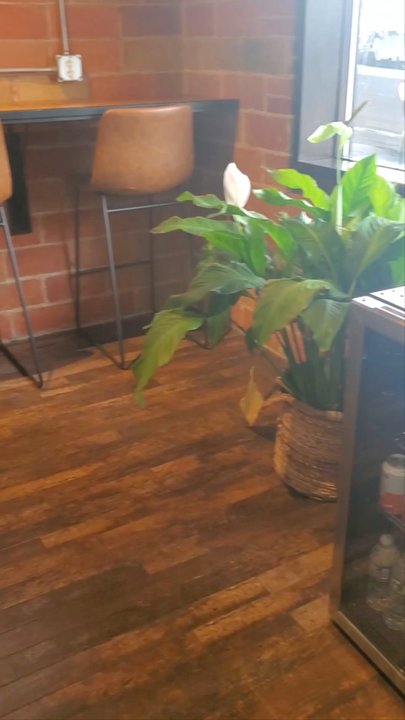 Connect With Massage - Entry and waiting area - Massage Near Me - Osseo, Minnesota