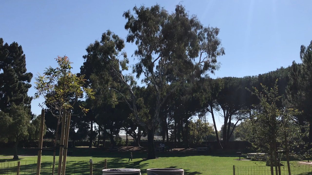 Newark Community Park - Parks Near Me - Newark, California