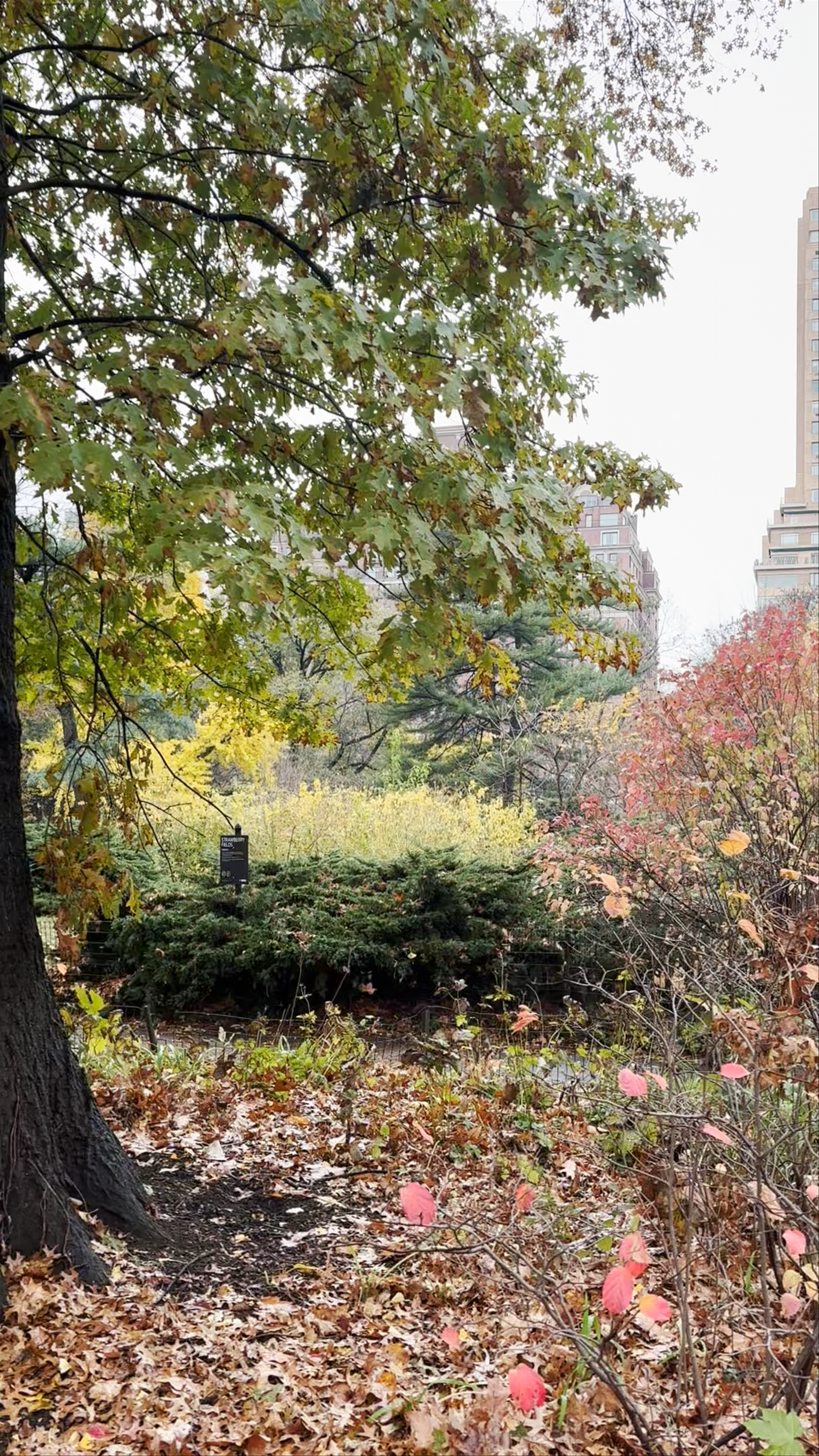 Daniel Webster Monument