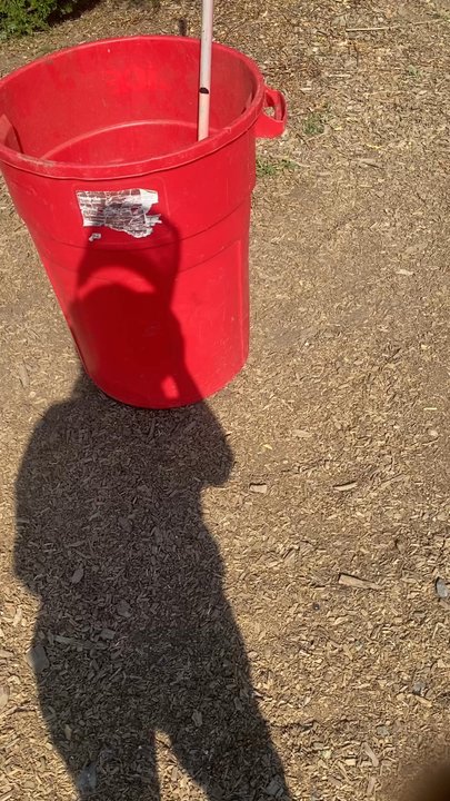 Black Diamond Tree Experts - Crazy skilled - Tree Services Near Me