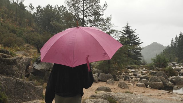 Woman walks with an umbrella