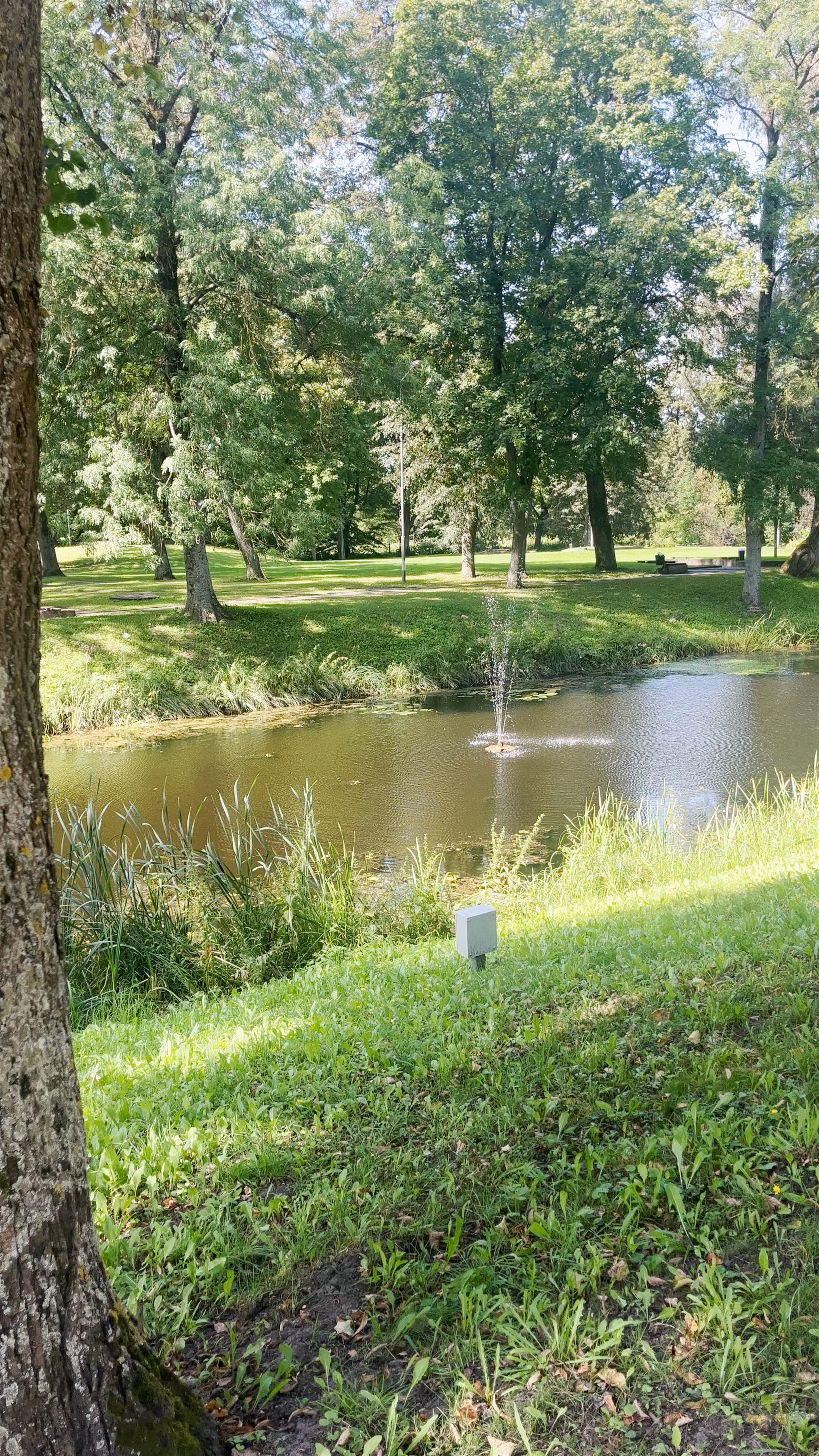 Jelgavas pils parks