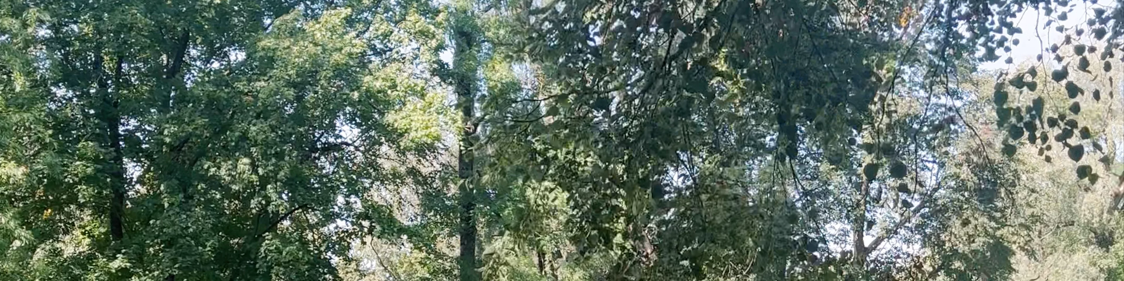 Jelgavas pils parks