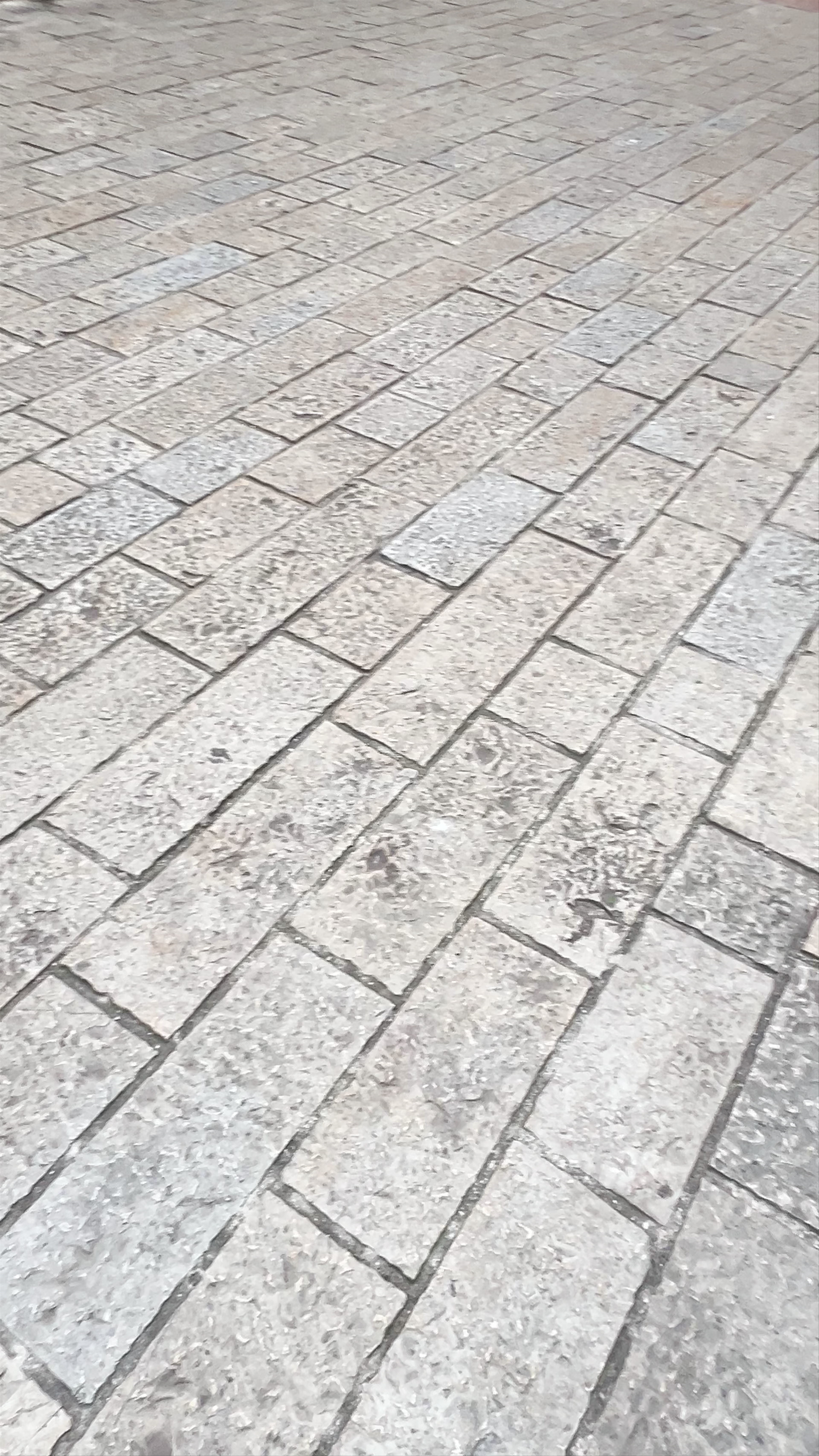 Church of St. Mary Collegiate: Timeless Heritage in Kotor, Montenegro