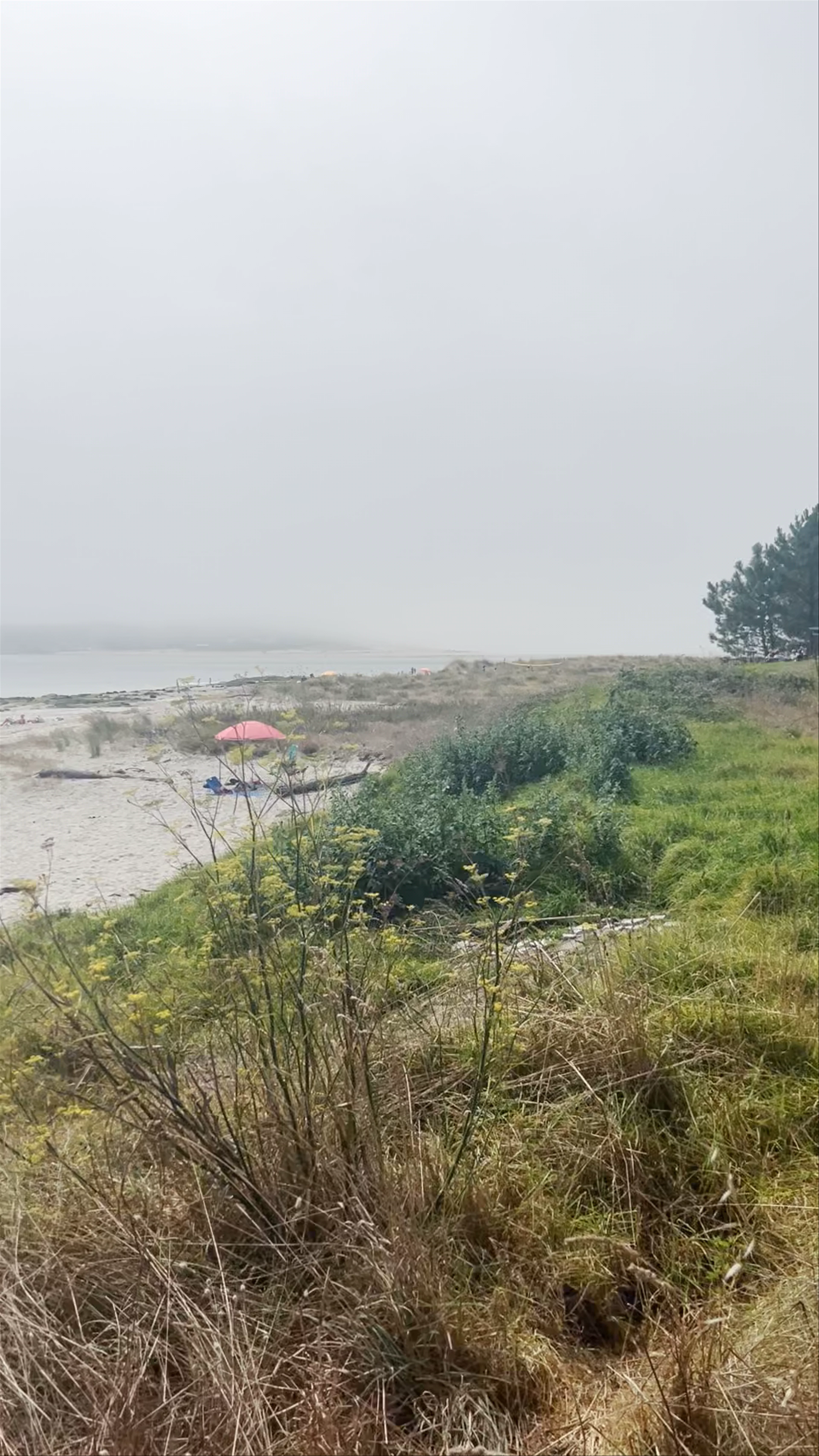 Praia do Muíño