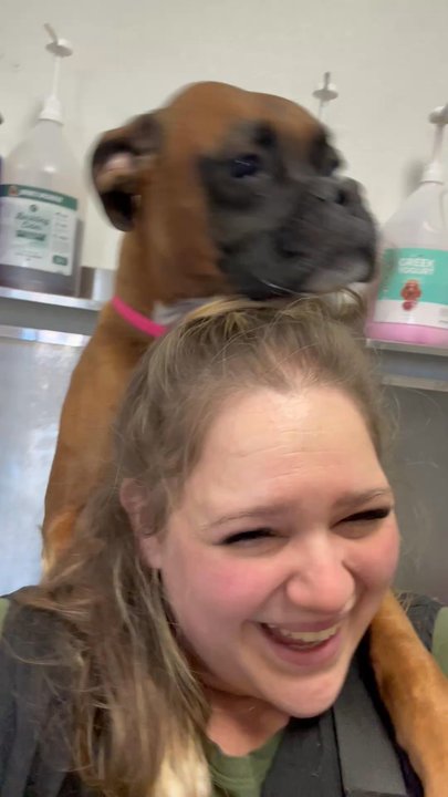 Royalty Pet Spa - Pet Groomers Near Me - Las Vegas, Nevada