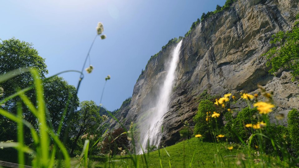 Ricola Launches Soothe & Clear Range Into UK Market - Wholesale Manager - The Ne