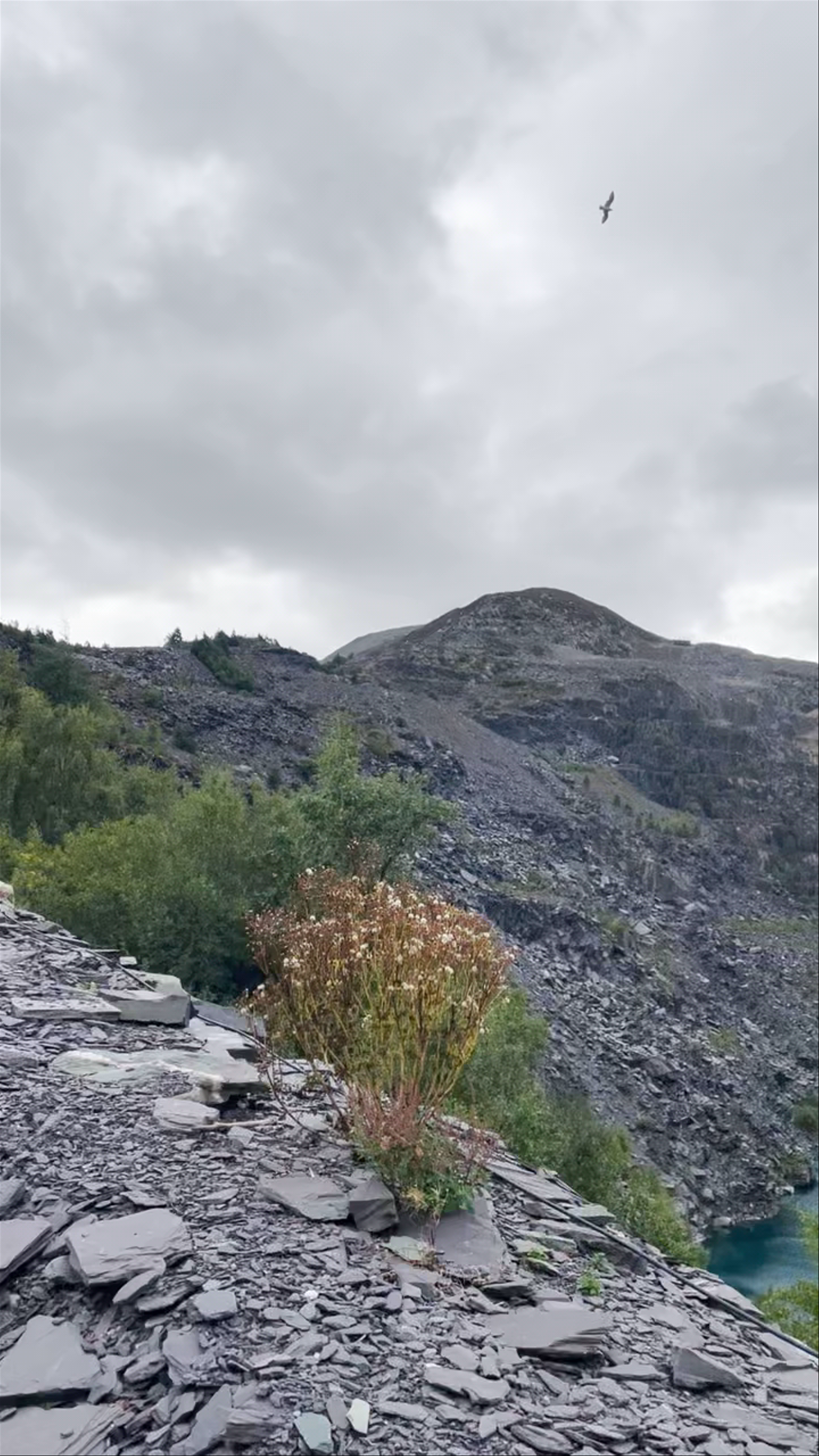 Zip World Penrhyn Quarry
