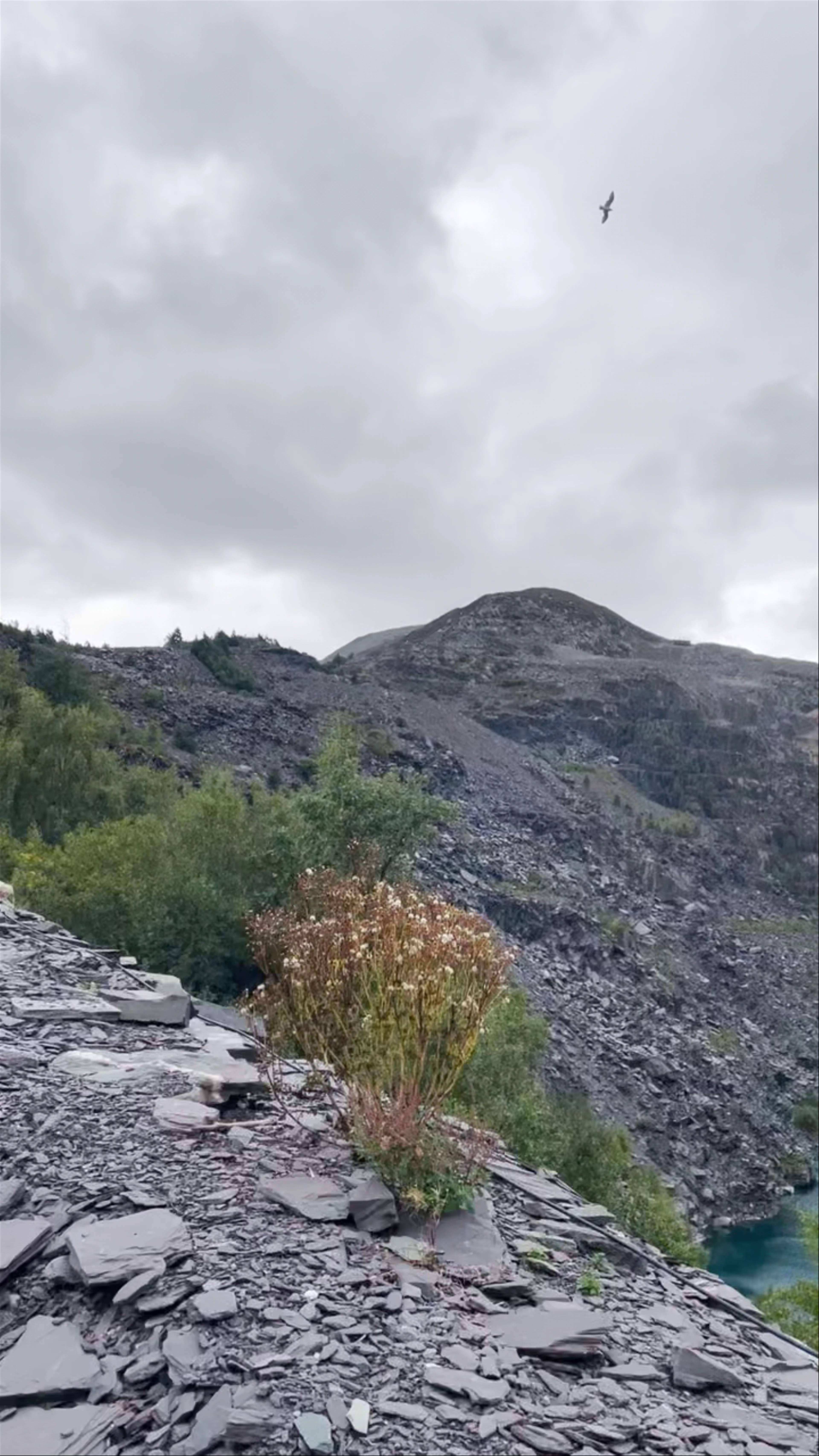 Zip World Penrhyn Quarry