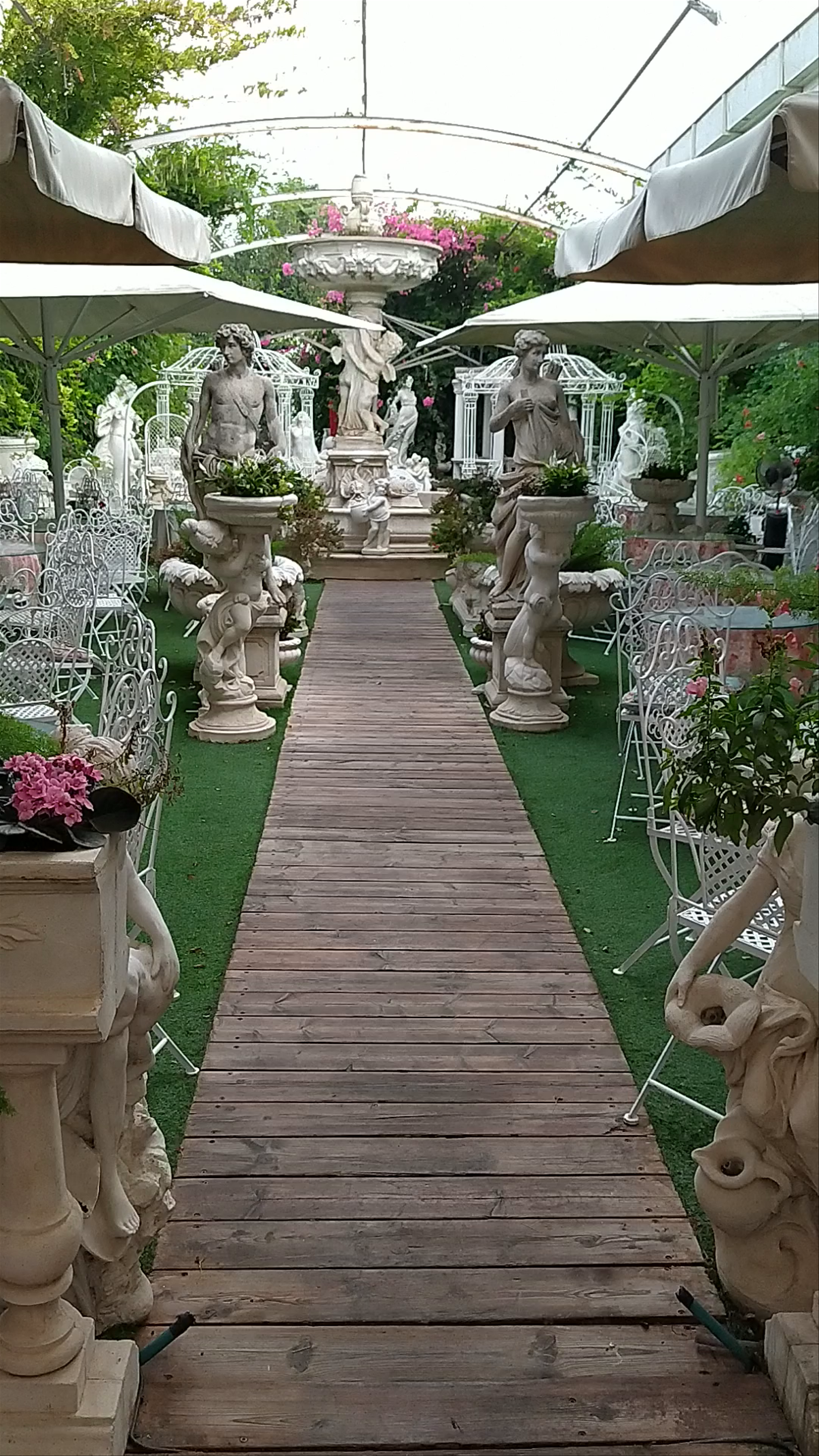 Almog's Gallery, a unique cafe in Israel