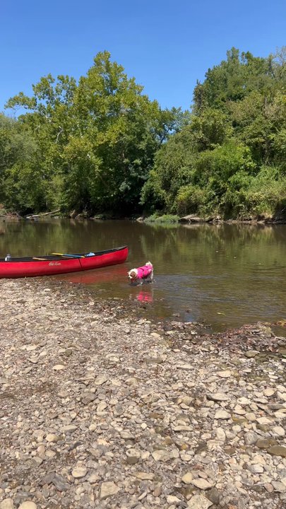 Hocking Hills Adventures - Fun on the river. - Rafting/Kayaking Near Me - Logan, Ohio