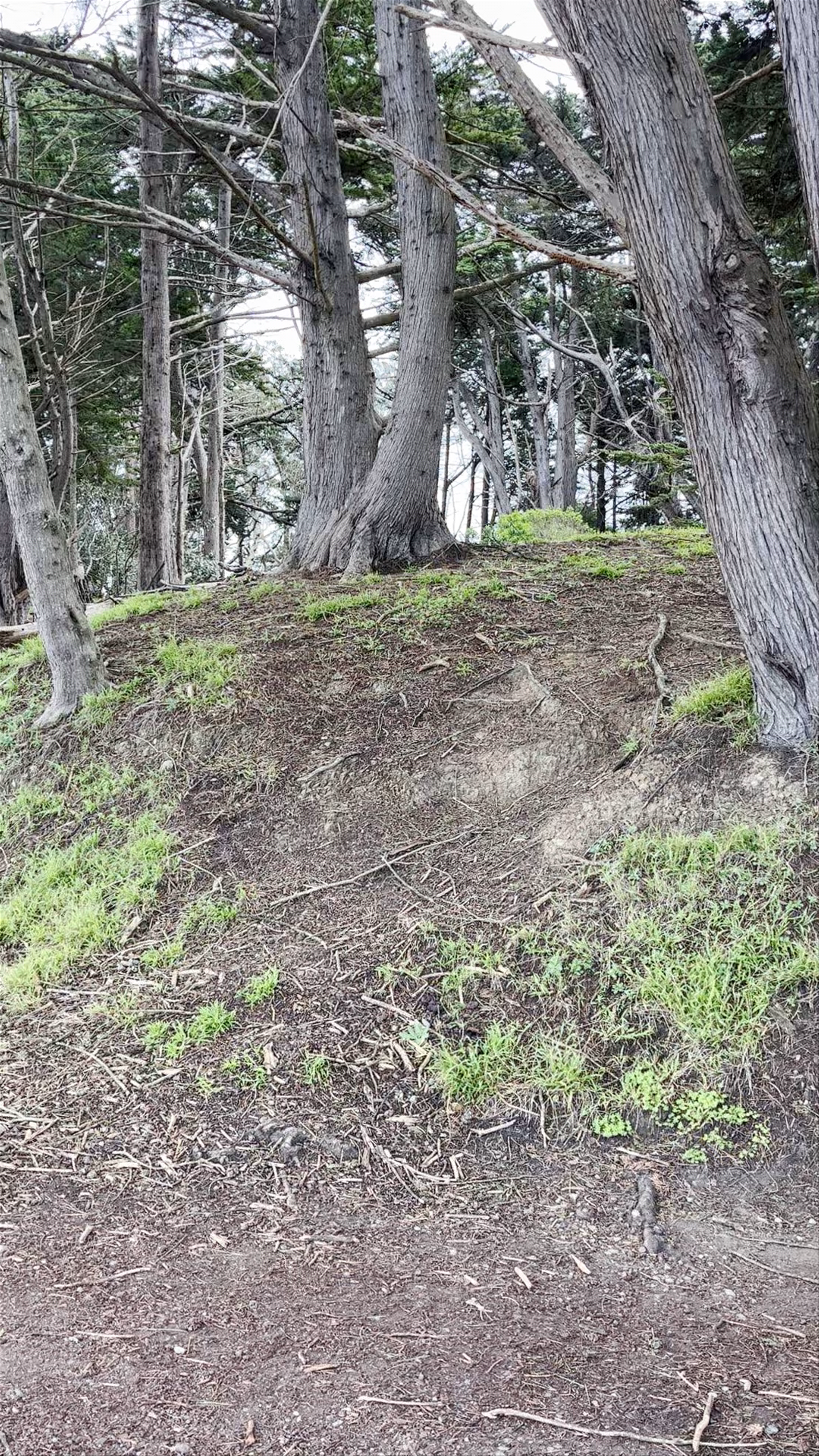 Marshall's Beach